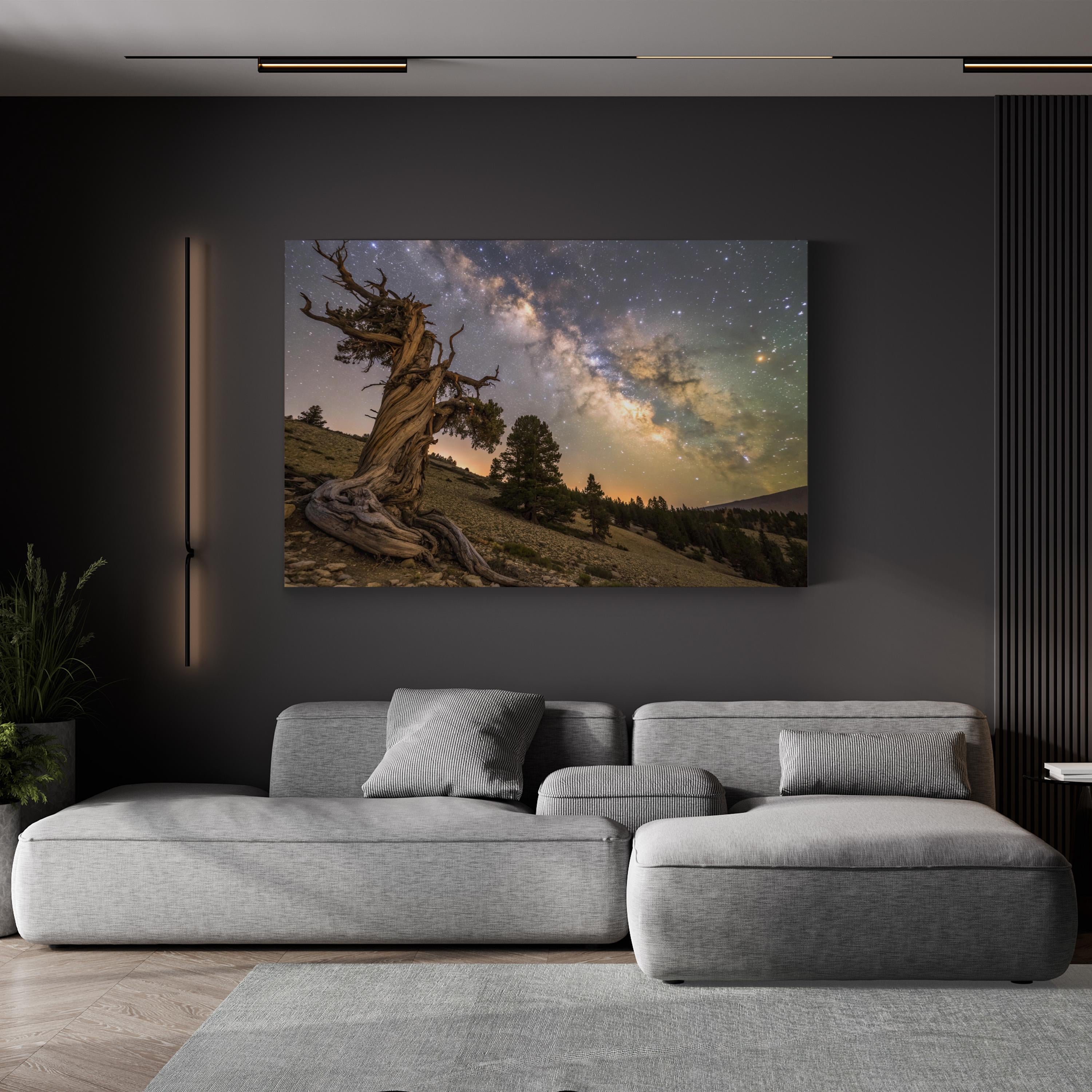 Bristlecone Pine – Vintage Photography Wall Art | California Mountain Canvas Print