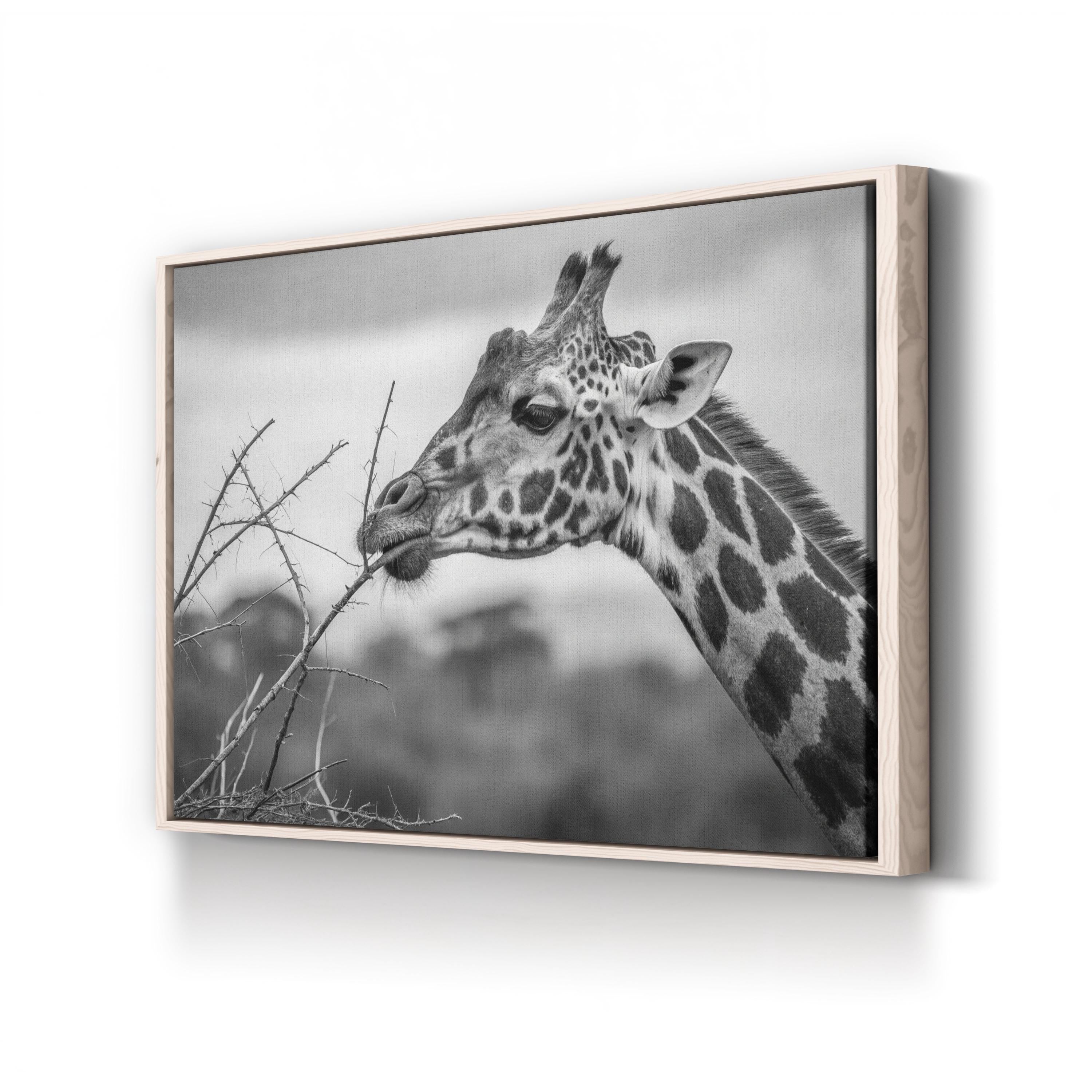 Black & White Giraffe – Period Illustration Wall Art | Wildlife Canvas Print