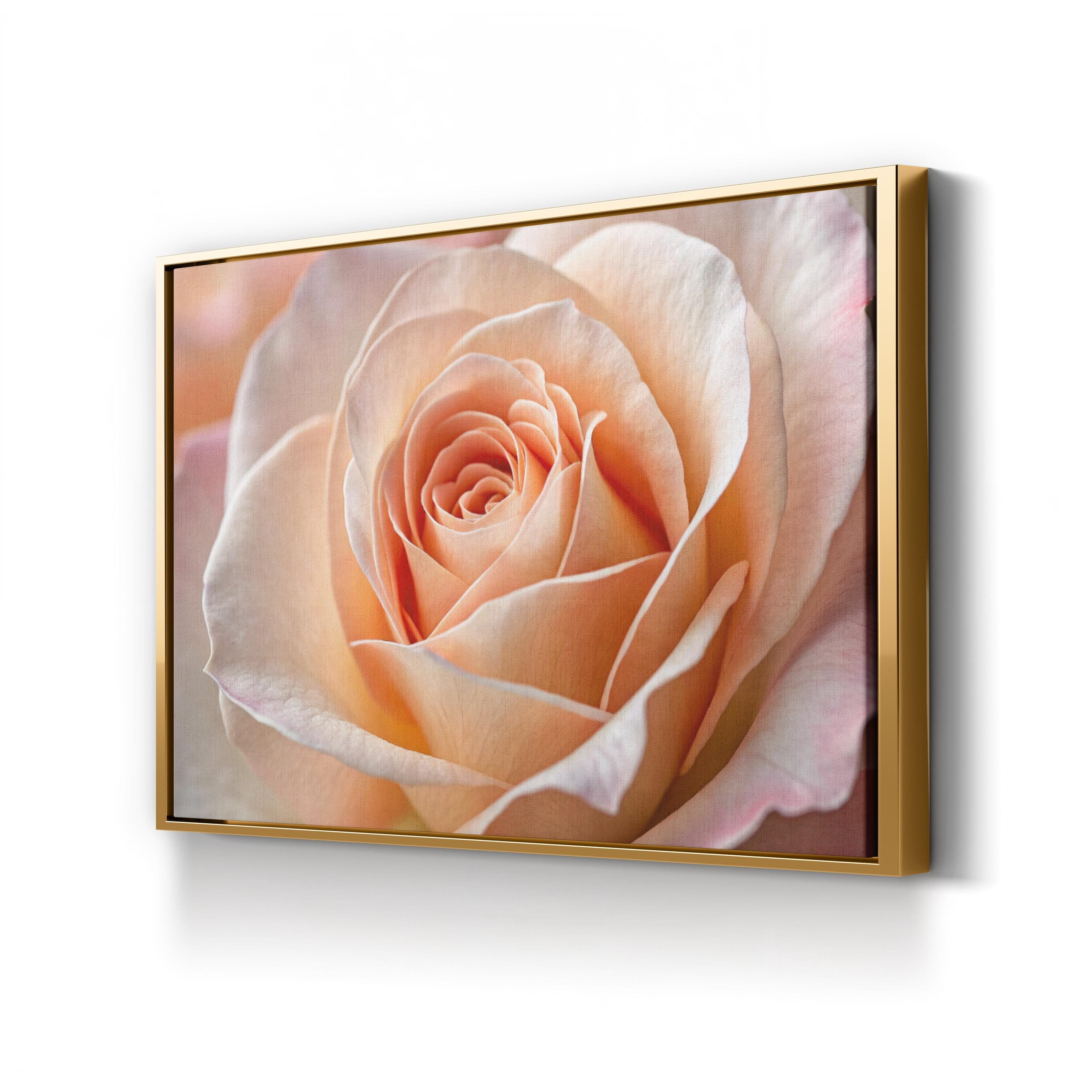 Peach Rose – Vintage Photography Wall Art | Elegant Floral Canvas Print