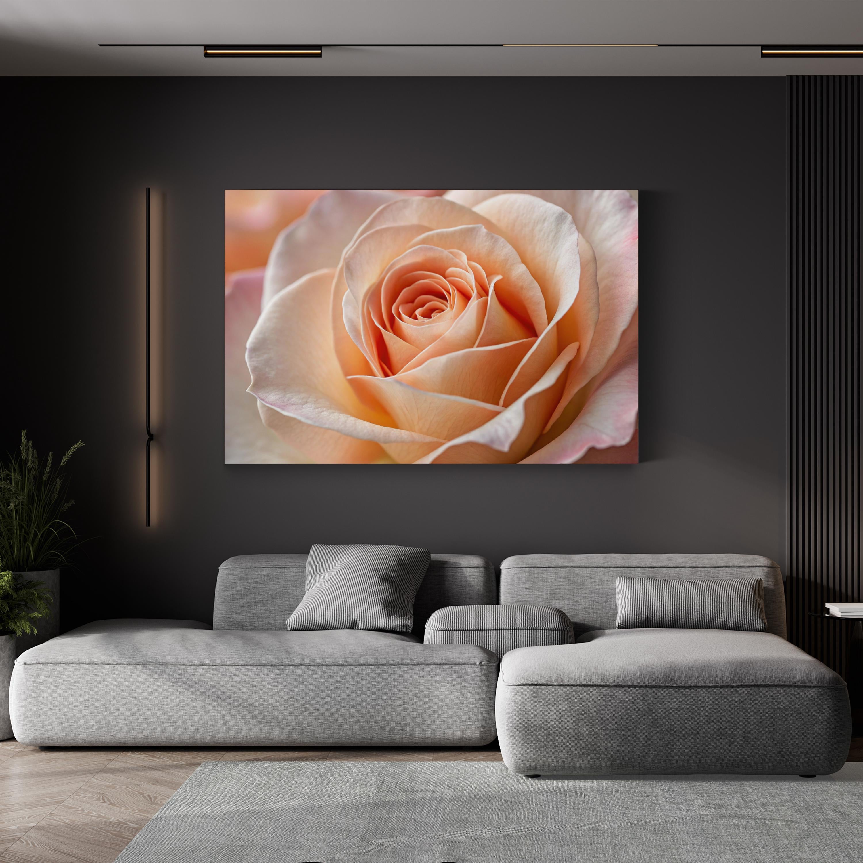 Peach Rose – Vintage Photography Wall Art | Elegant Floral Canvas Print