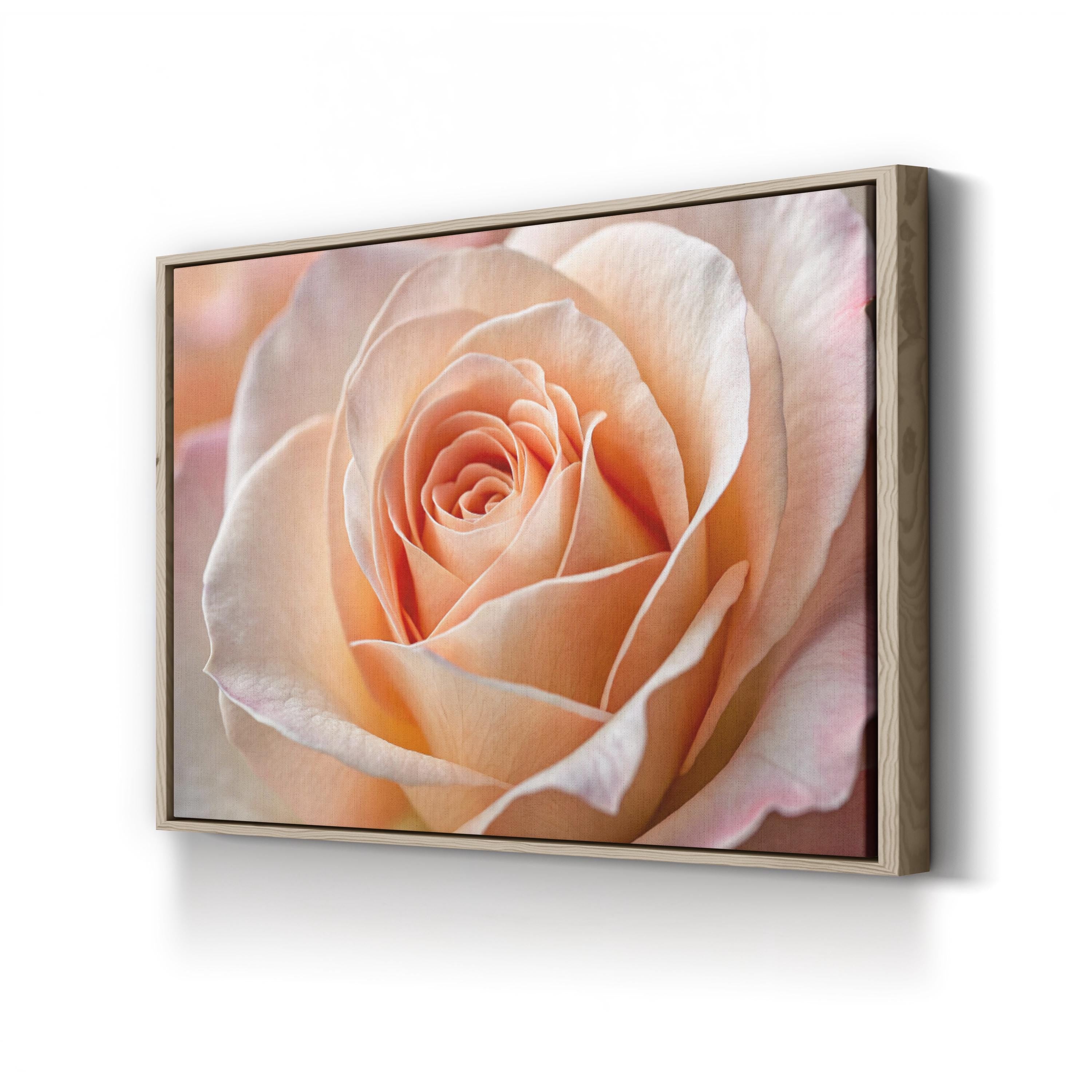 Peach Rose – Vintage Photography Wall Art | Elegant Floral Canvas Print