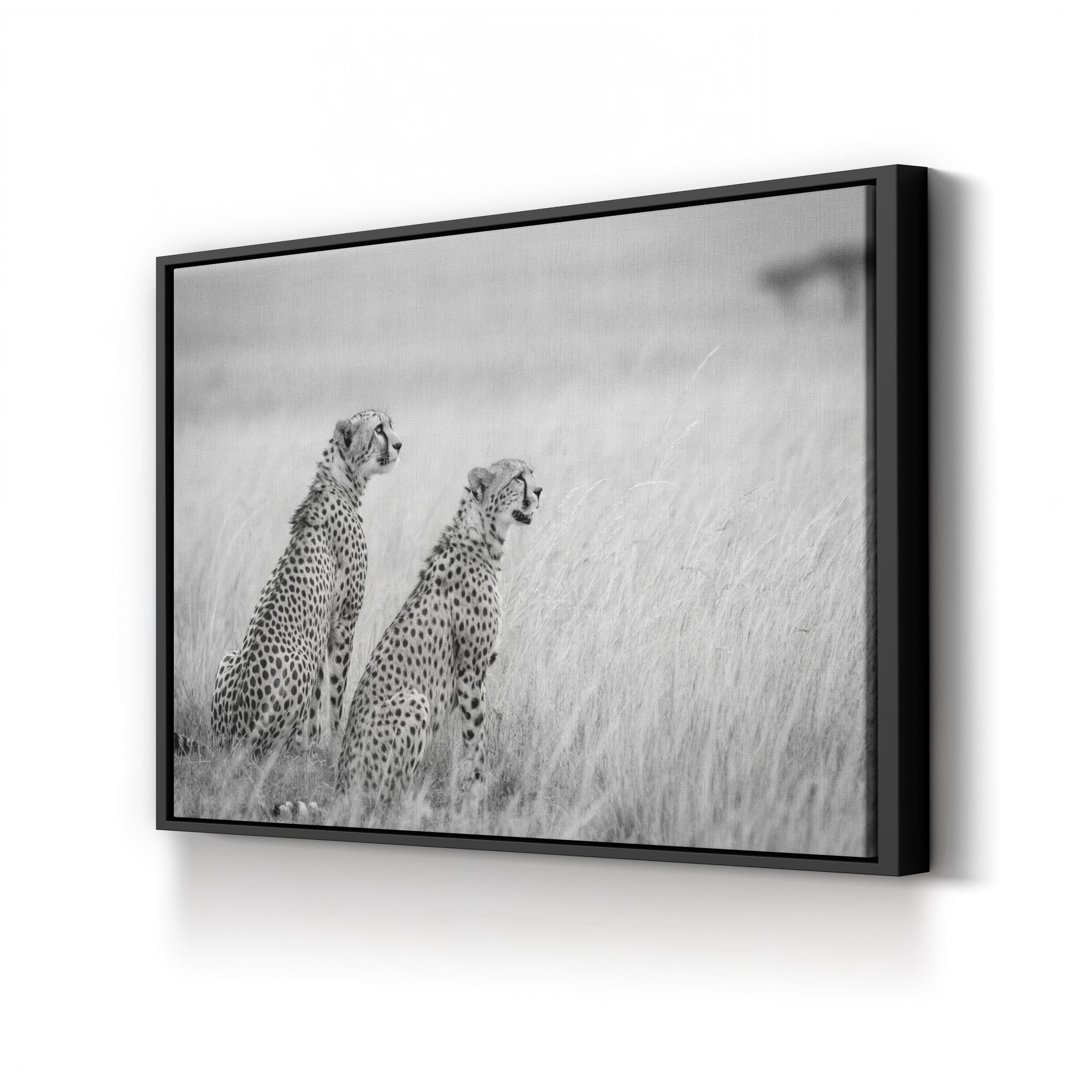 Black & White Cheetah Canvas – Safari Photography Wall Art