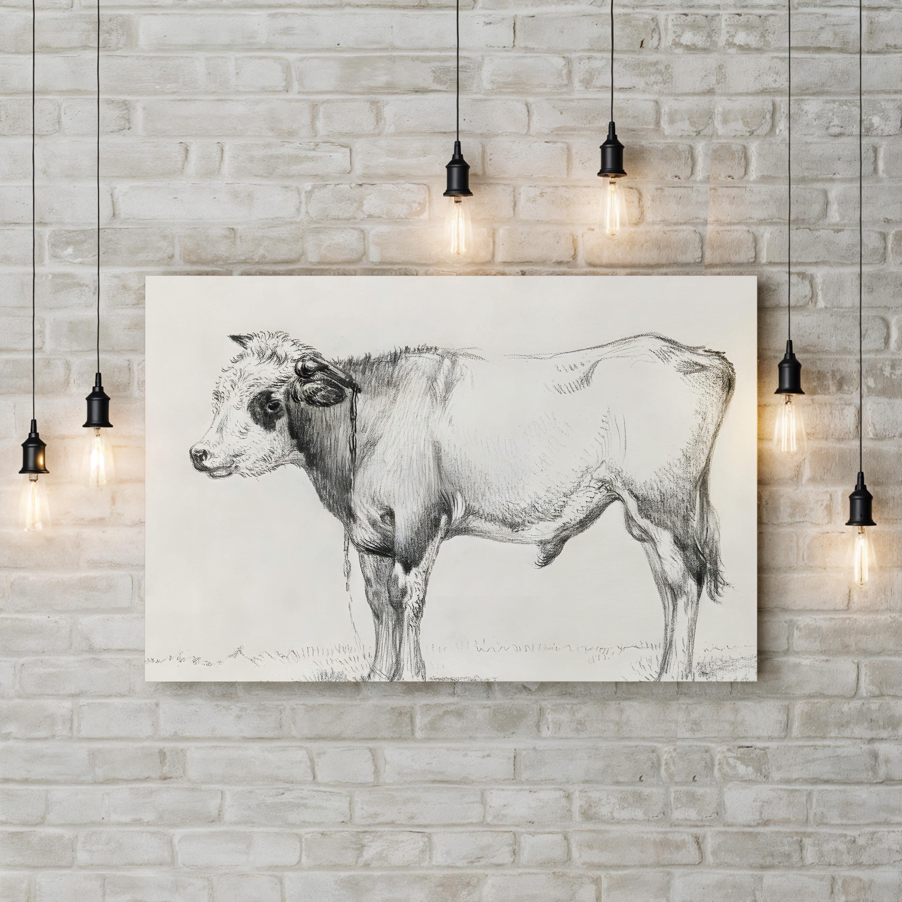 Bernard’s Bull Renderings Black and White Rustic III Wall Art by Jean Bernard