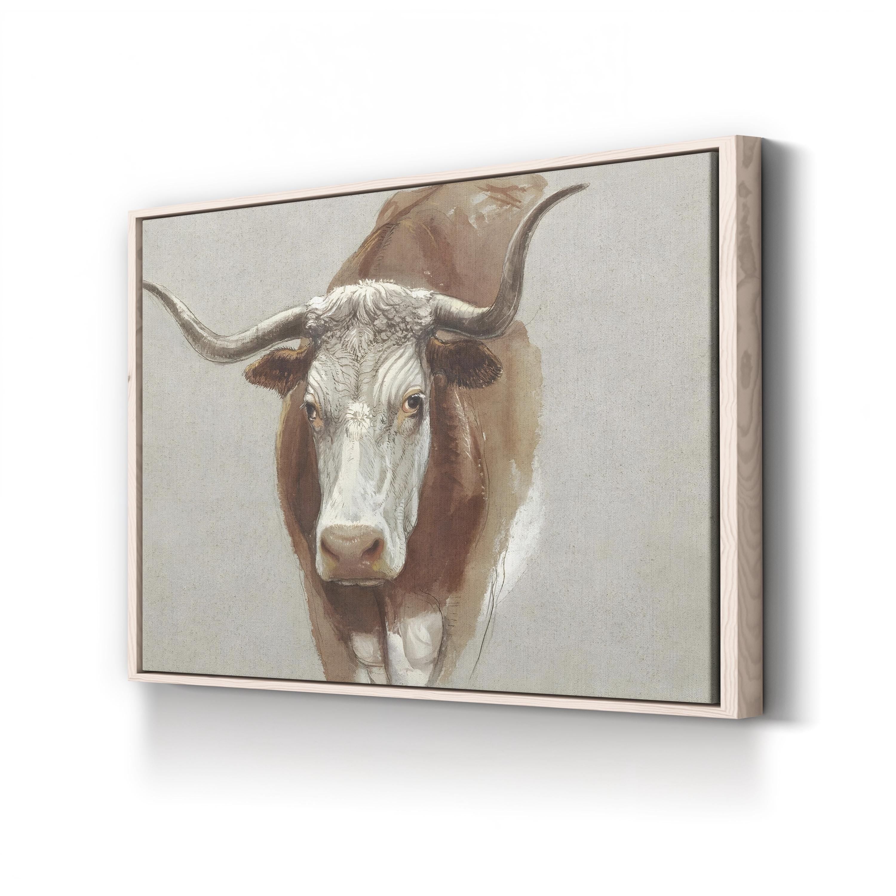 Colman Cow Portrait Study II – Vintage Animal Portrait Wall Art by Samuel Colman