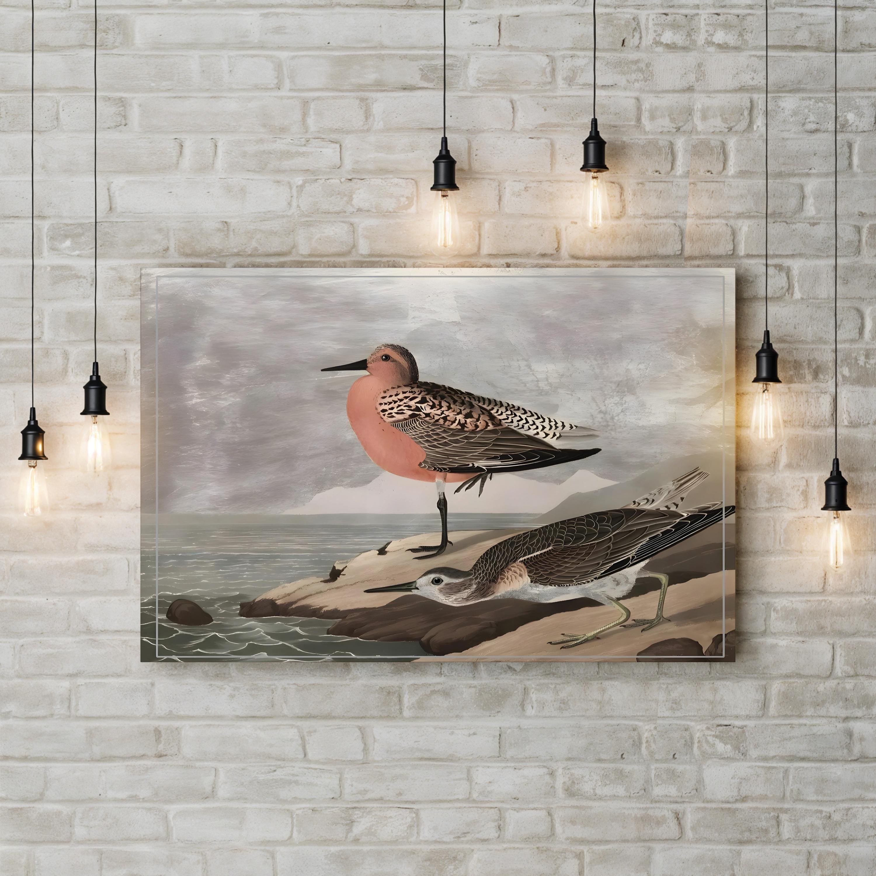 Gilded Sandpipers Shore – Period Illustration Wall Art | Coastal Bird Canvas Print
