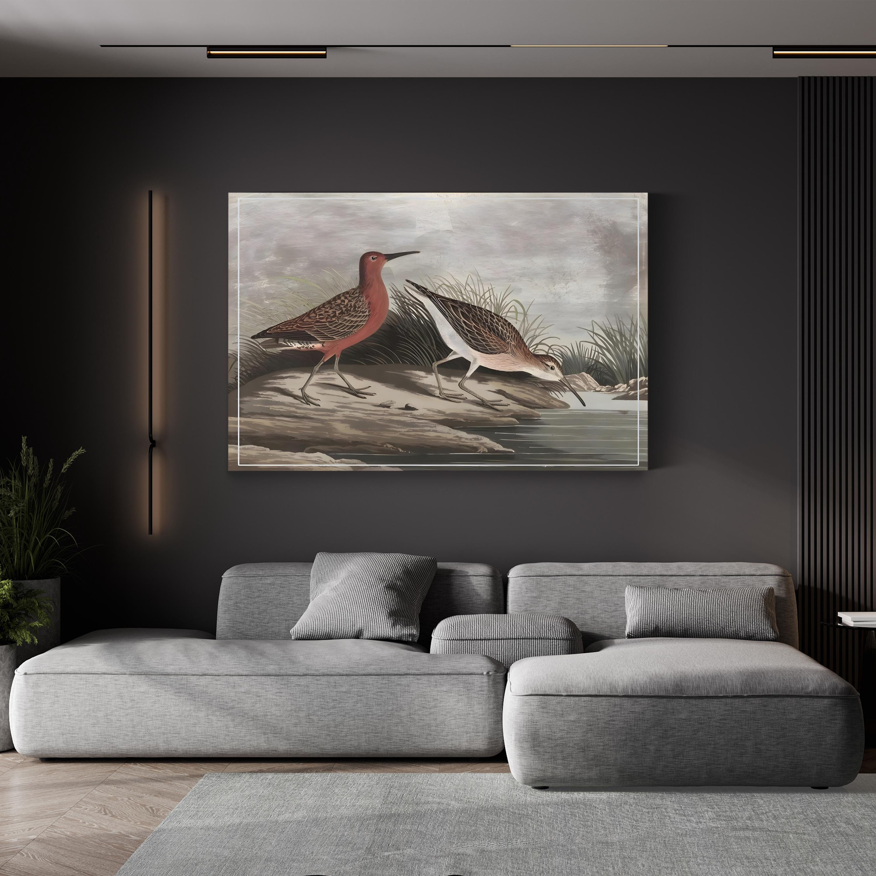 19th-Century Sandpipers – Period Illustration Wall Art | Coastal Bird Canvas Print