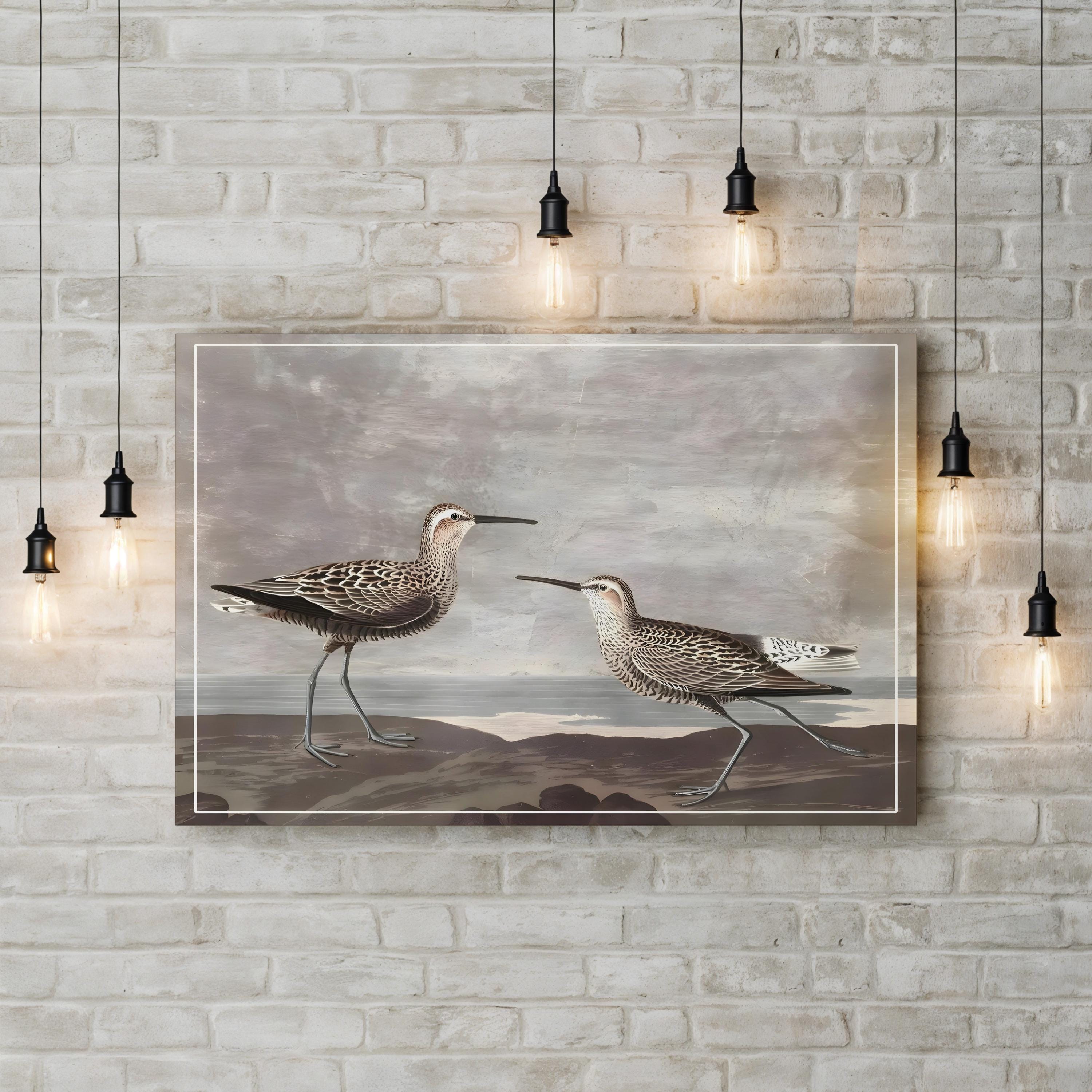 Gilded Sandpipers III – Audubon Shorebird Illustration Wall Art by John James Audubon