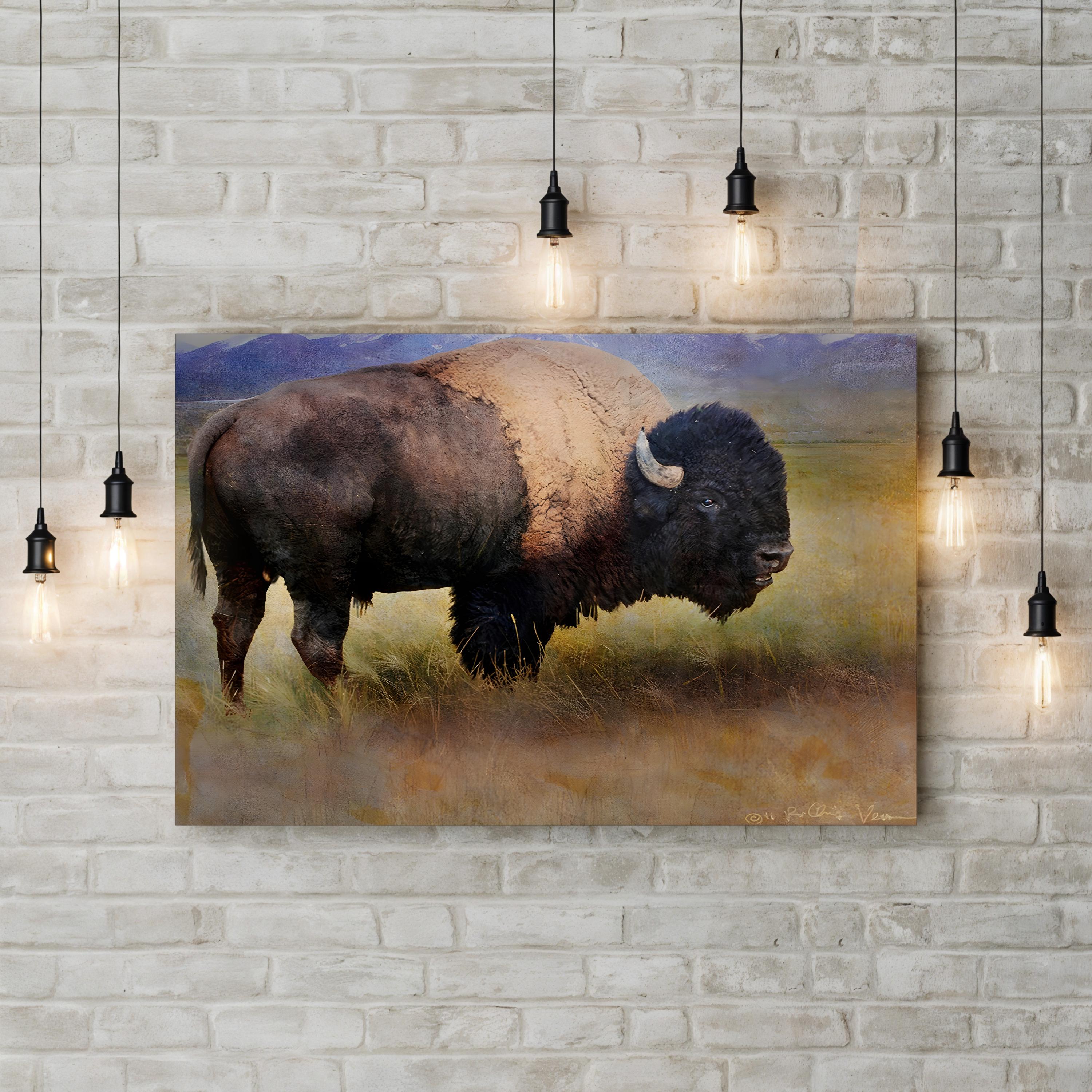 Bison Portrait II Wall Art by Chris Vest