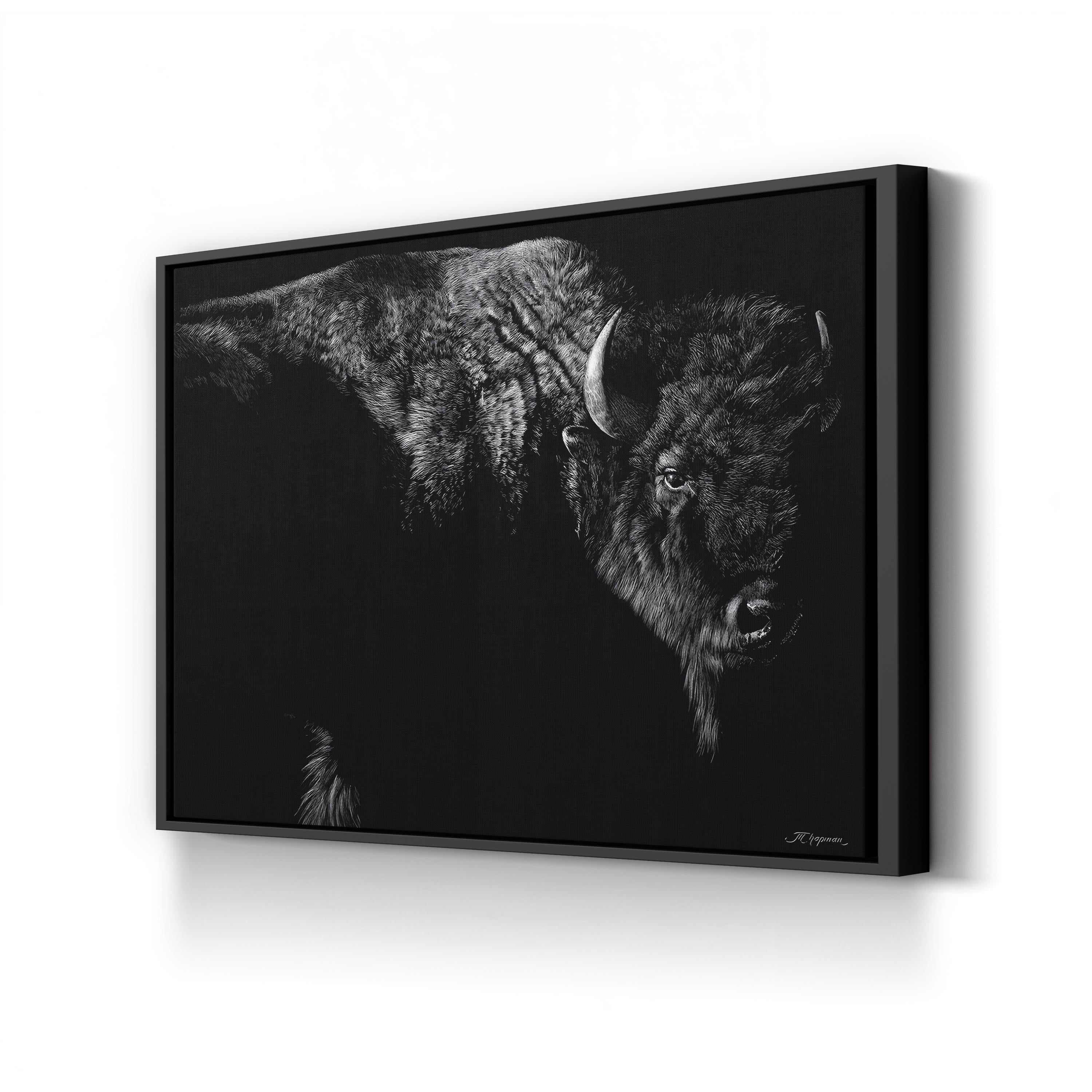 Enduring Wall Art by Julie Chapman | Black and White Bison Wildlife Canvas Print