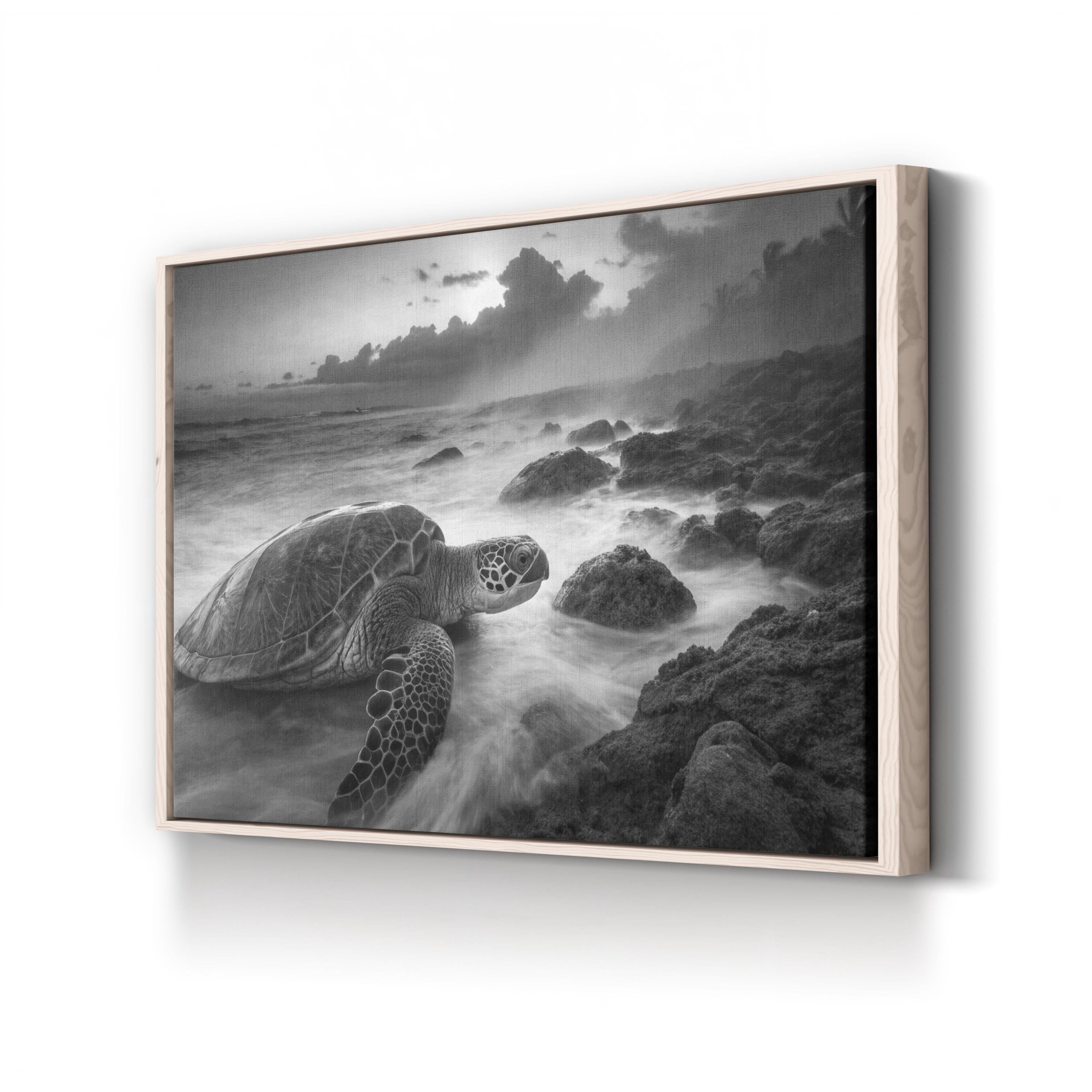 Black & White Sea Turtle – Vintage Photography Wall Art | Coastal Wildlife Canvas Print