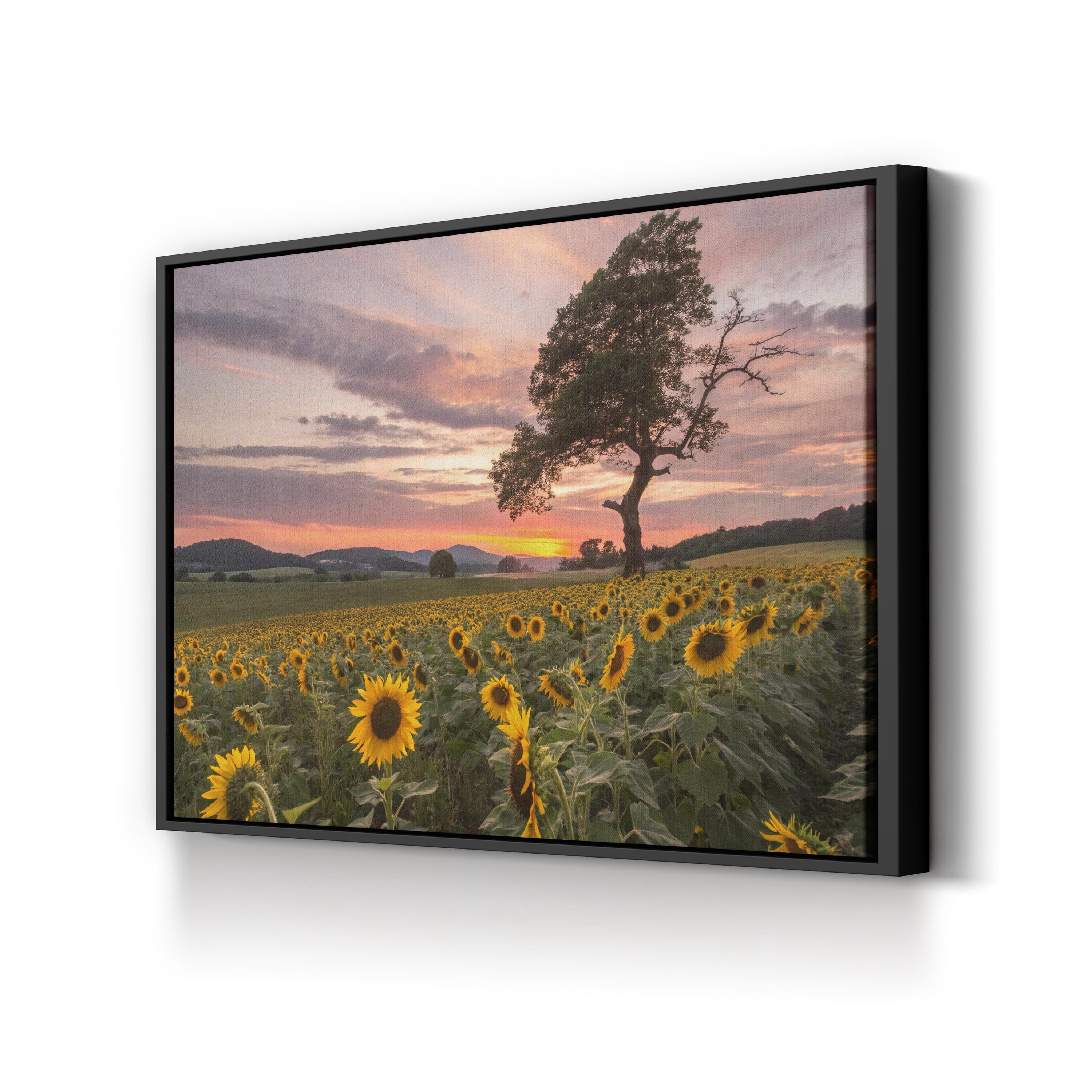 Sunflower Field at Sunset – Vintage Photography Wall Art | California Landscape Canvas Print