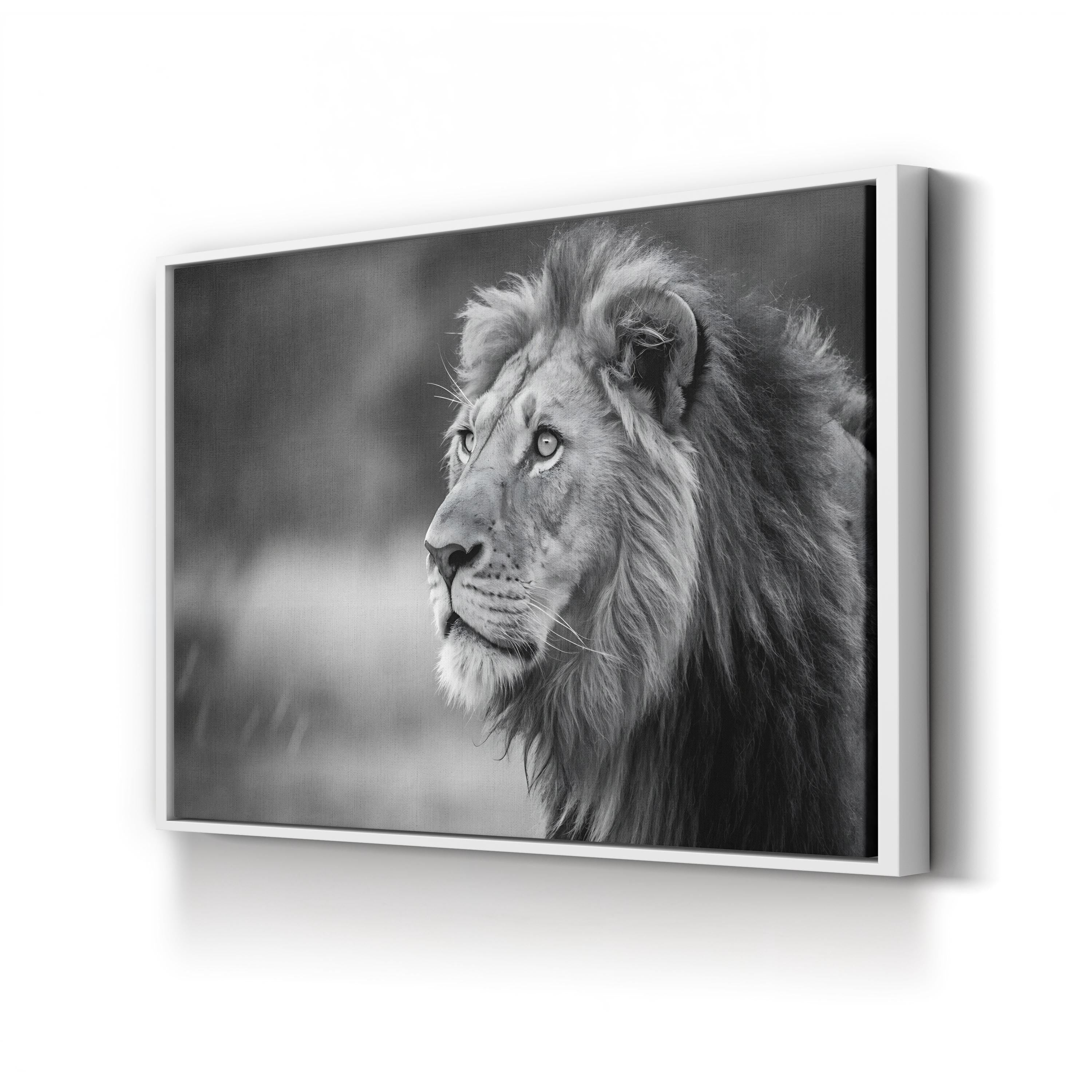 Majestic Lion Head – Vintage Photography Wall Art | Black & White Wildlife Canvas Print