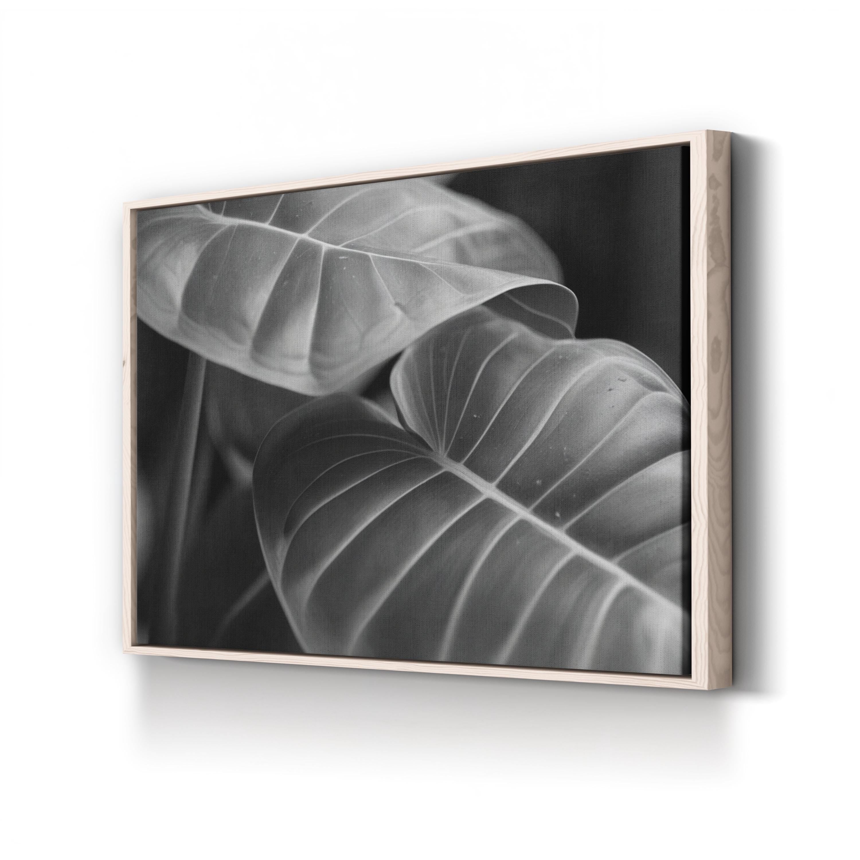 Black & White Monstera Leaf – Vintage Photography Wall Art | Modern Botanical Canvas Print