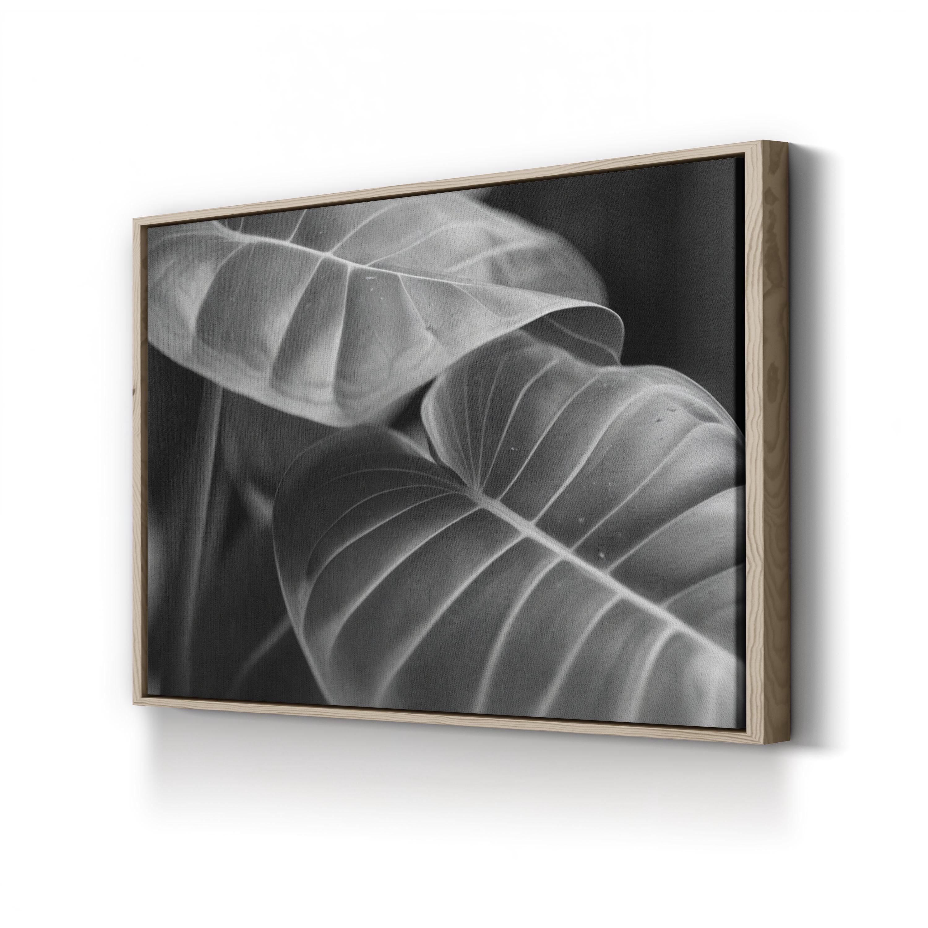 Black & White Monstera Leaf – Vintage Photography Wall Art | Modern Botanical Canvas Print