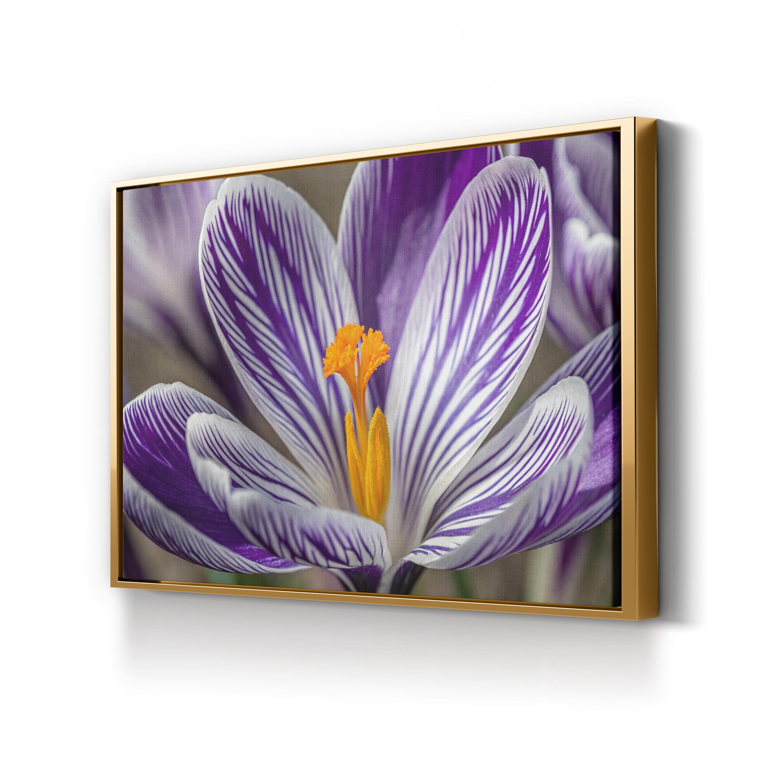 Purple Crocus – Vintage Photography Wall Art | Vibrant Botanical Canvas Print