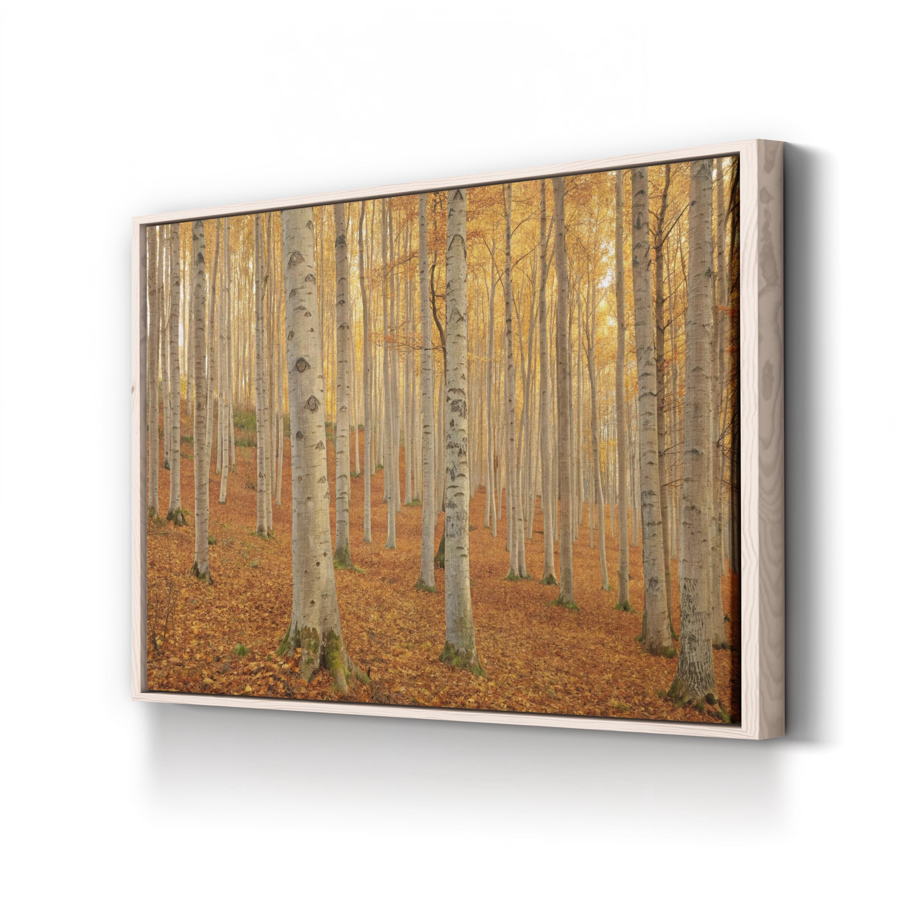 Autumn Beech Grove – Period Illustration Wall Art | Forest Path Canvas Print