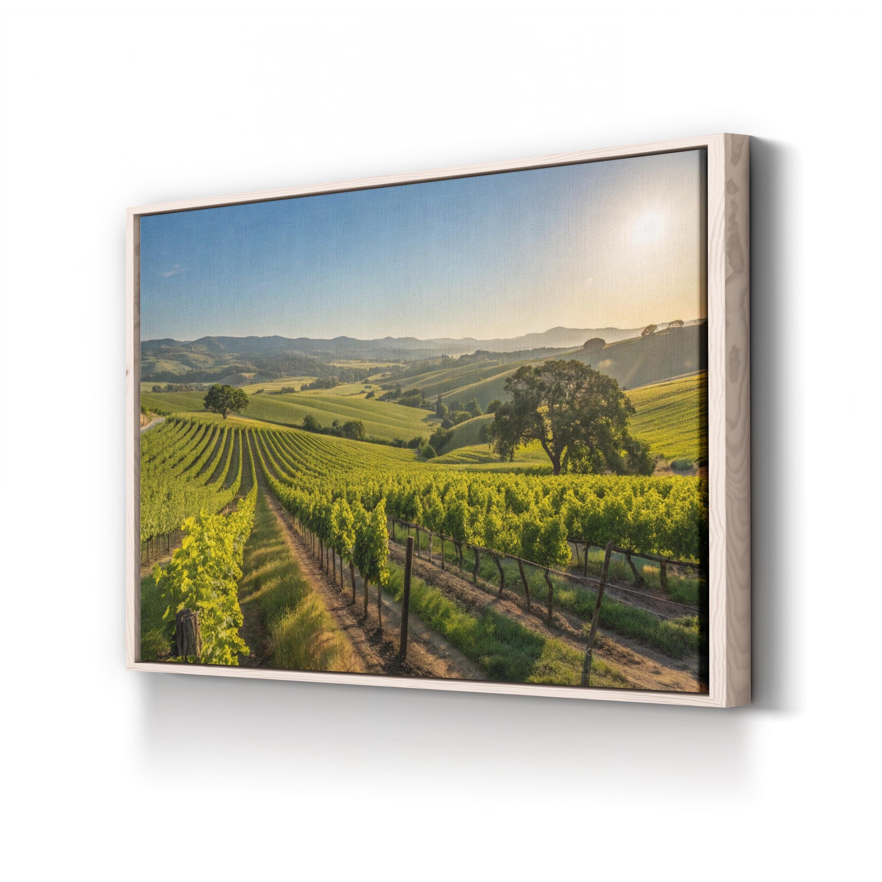 California Vineyard Wine Country – Vintage Photography Wall Art | Landscape Canvas Print