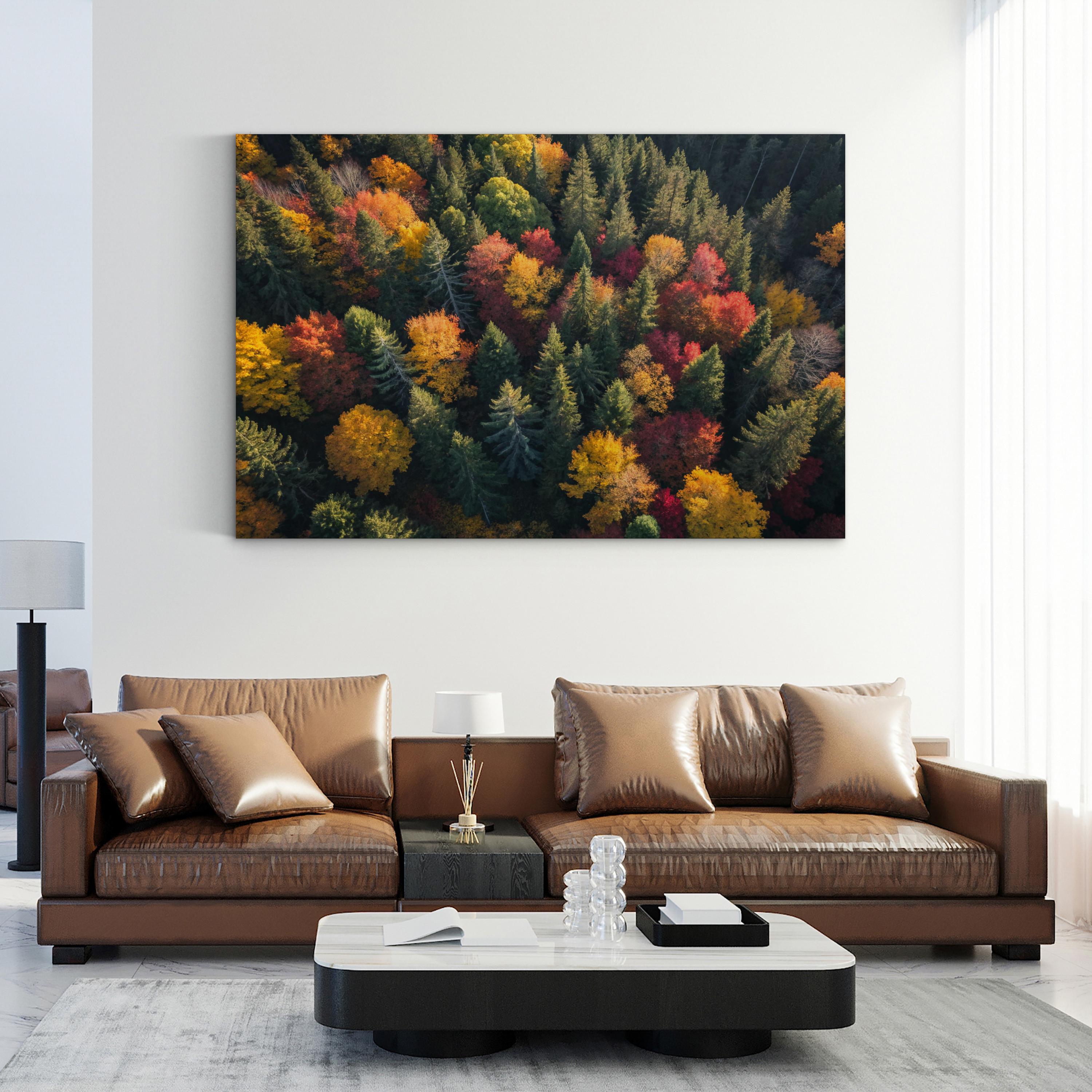 Autumn Forest Canopy Aerial – Vintage Photography Wall Art | Fall Foliage Canvas Print