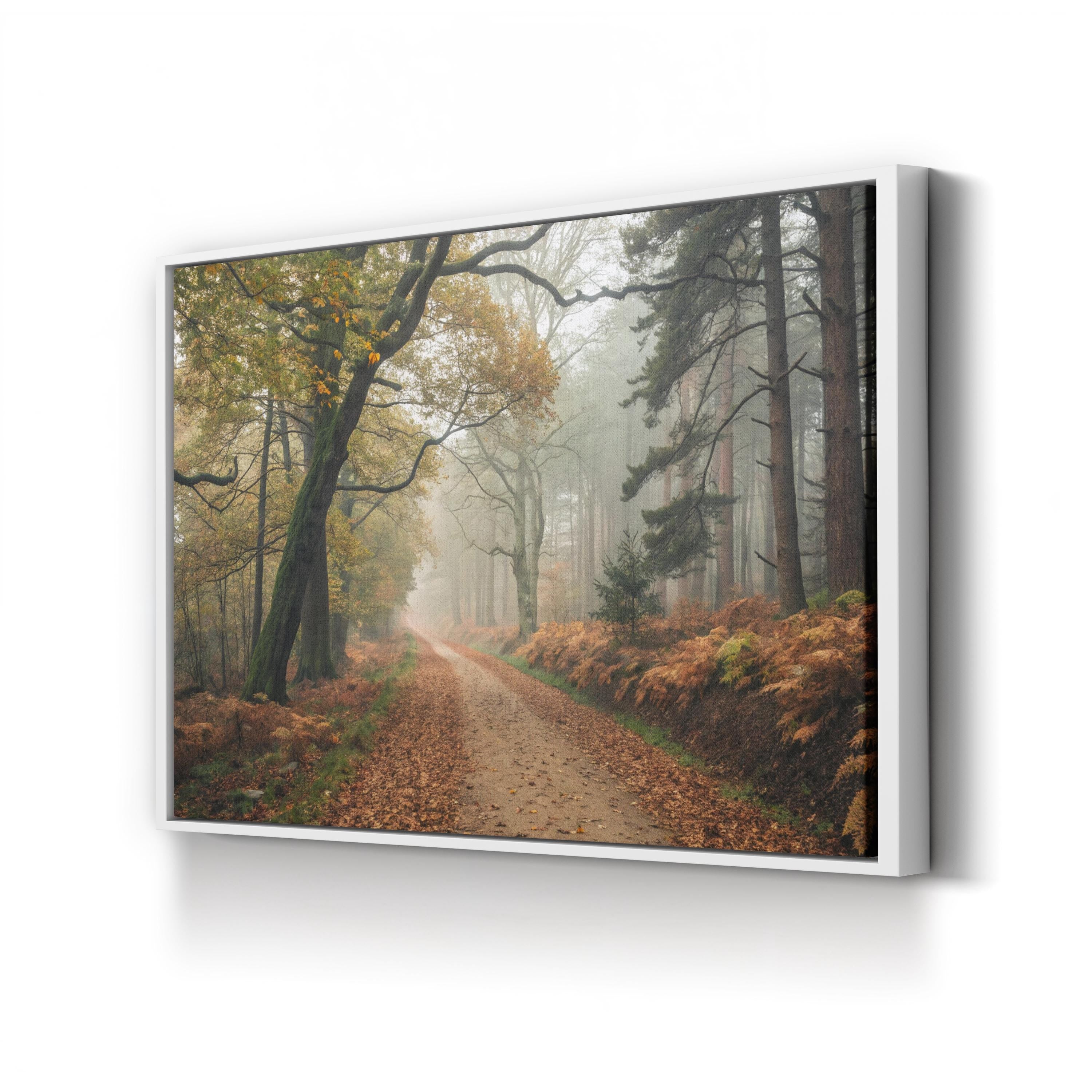 Autumn Forest Misty Path – Vintage Photography Wall Art | Nature Landscape Canvas Print