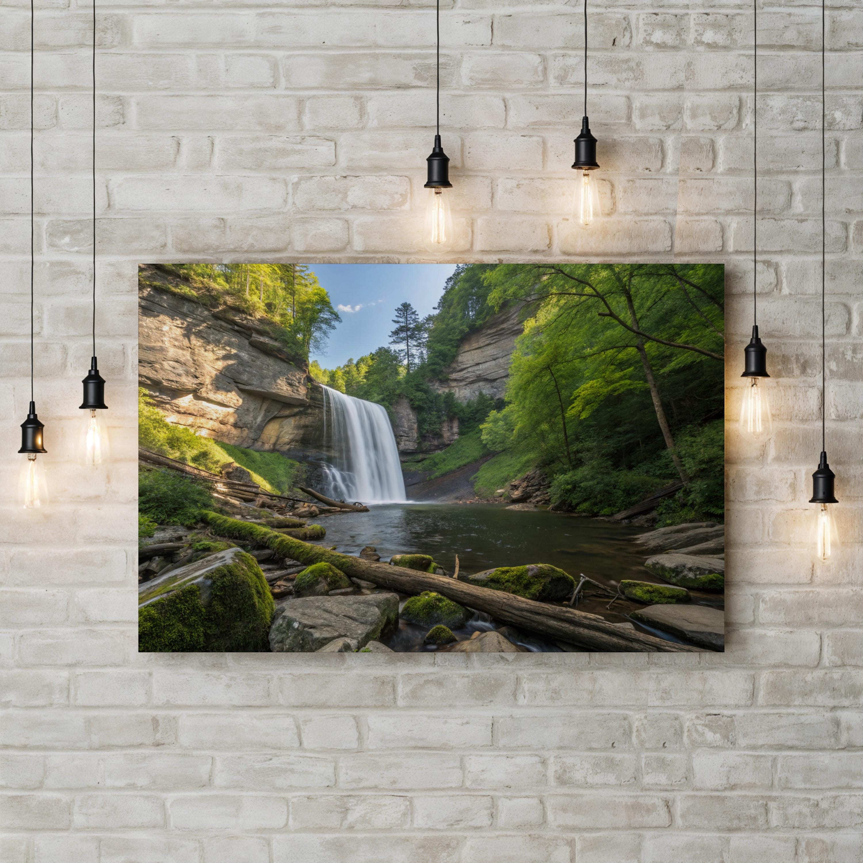 Looking Glass Falls Forest – Vintage Photography Wall Art | Waterfall Canvas Print