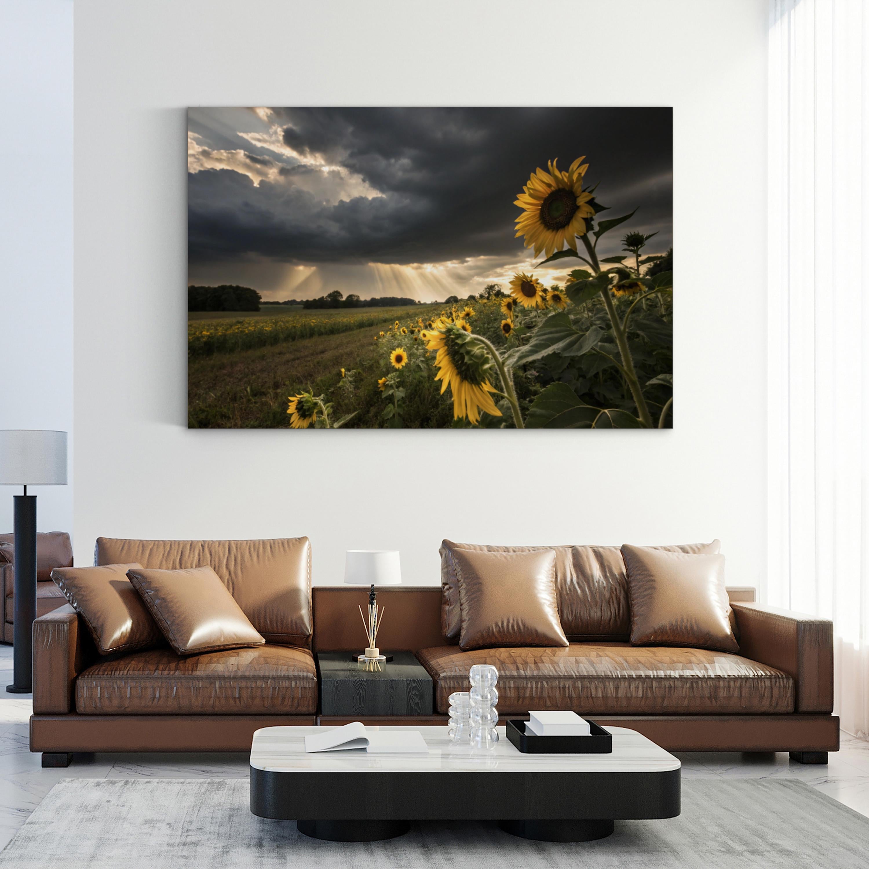 Farmhouse Sunflower Field – Vintage Photography Wall Art | Overcast Floral Canvas Print