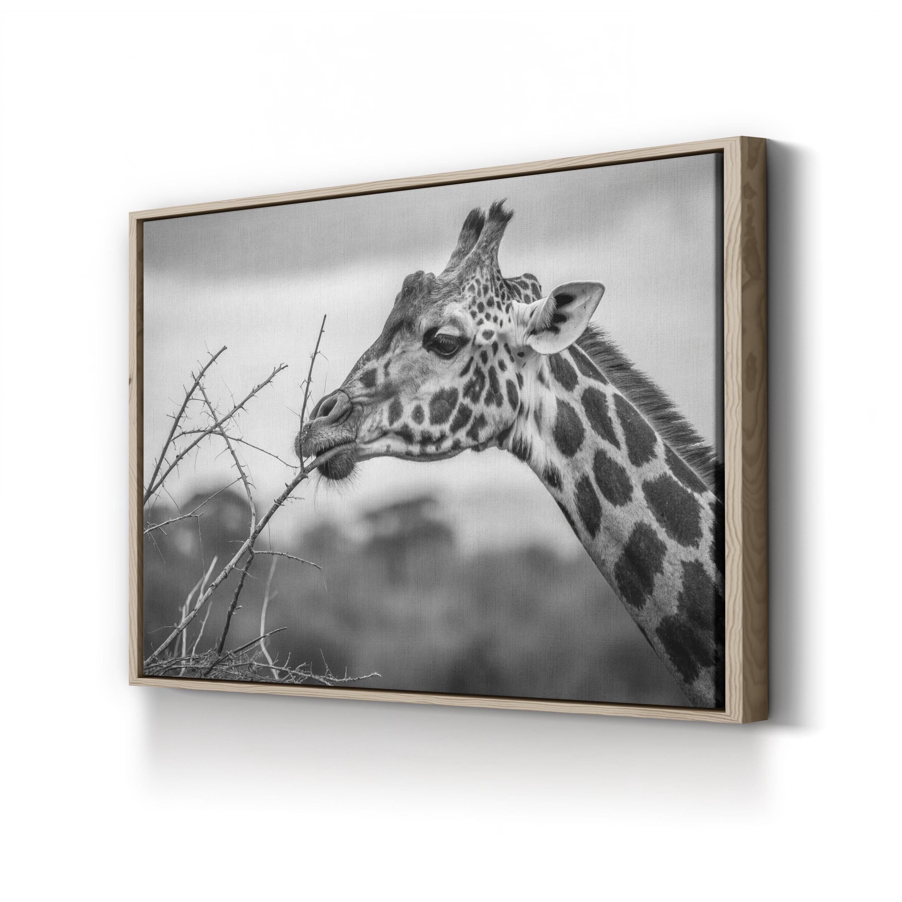 Black & White Giraffe – Period Illustration Wall Art | Wildlife Canvas Print