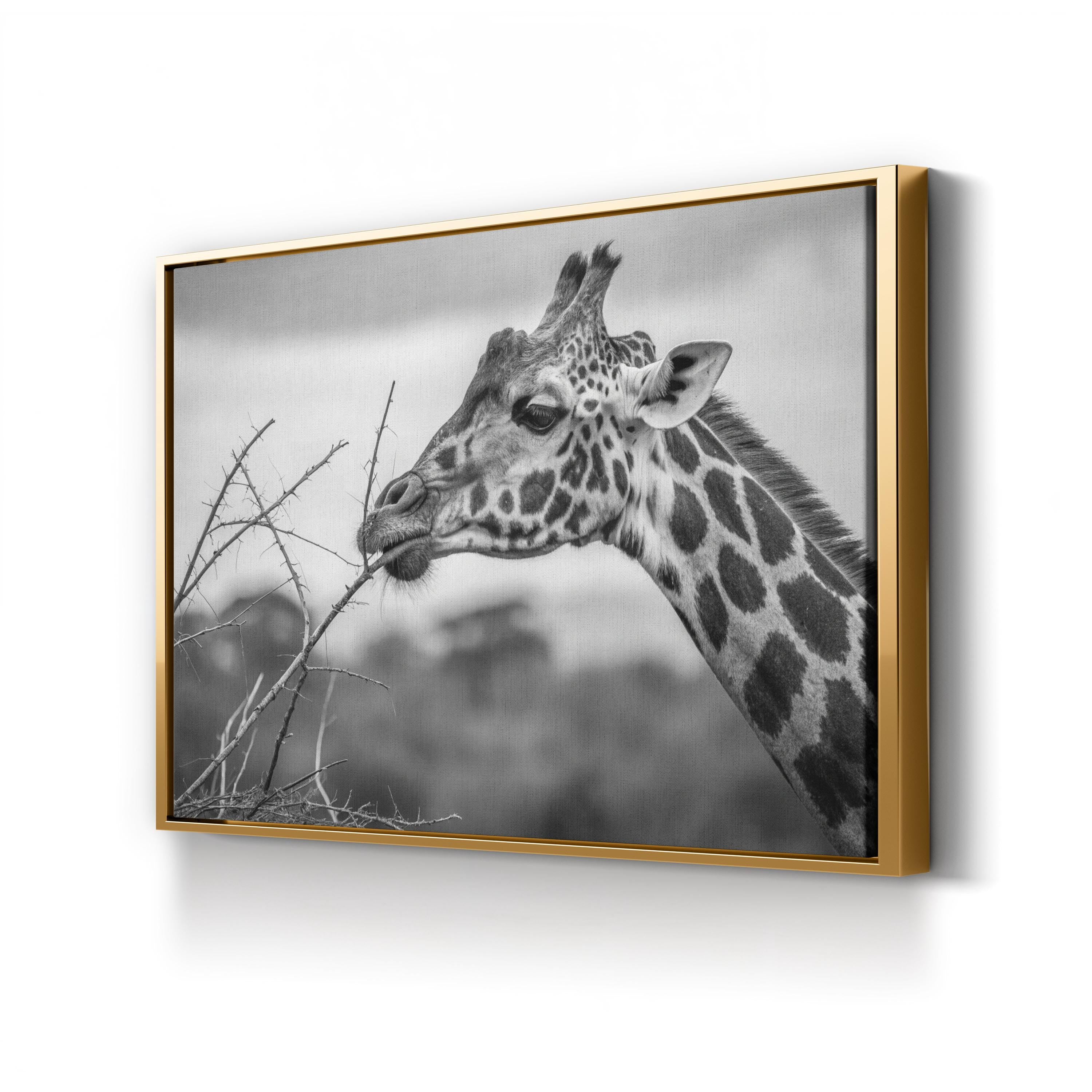 Black & White Giraffe – Period Illustration Wall Art | Wildlife Canvas Print