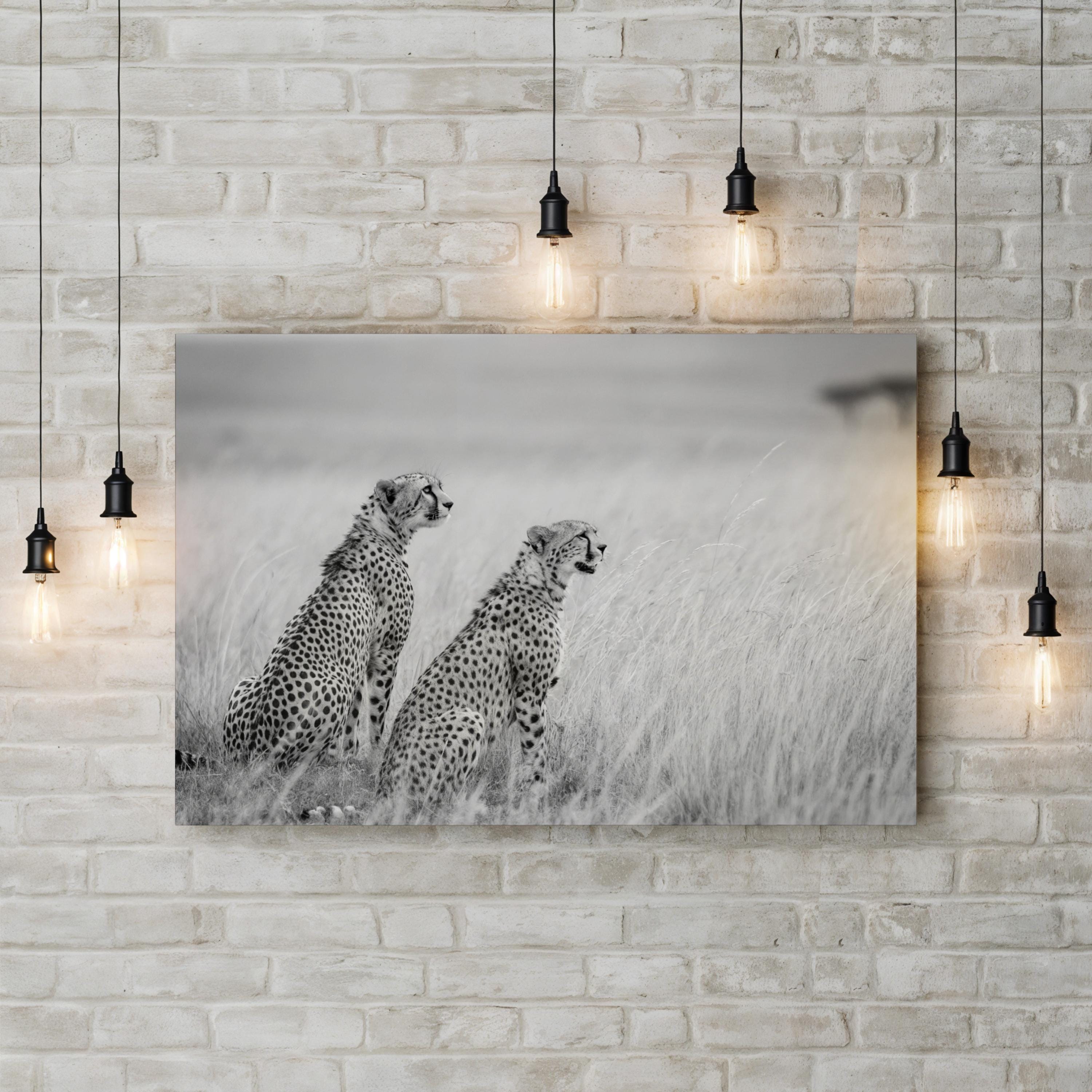 Black & White Cheetah Canvas – Safari Photography Wall Art
