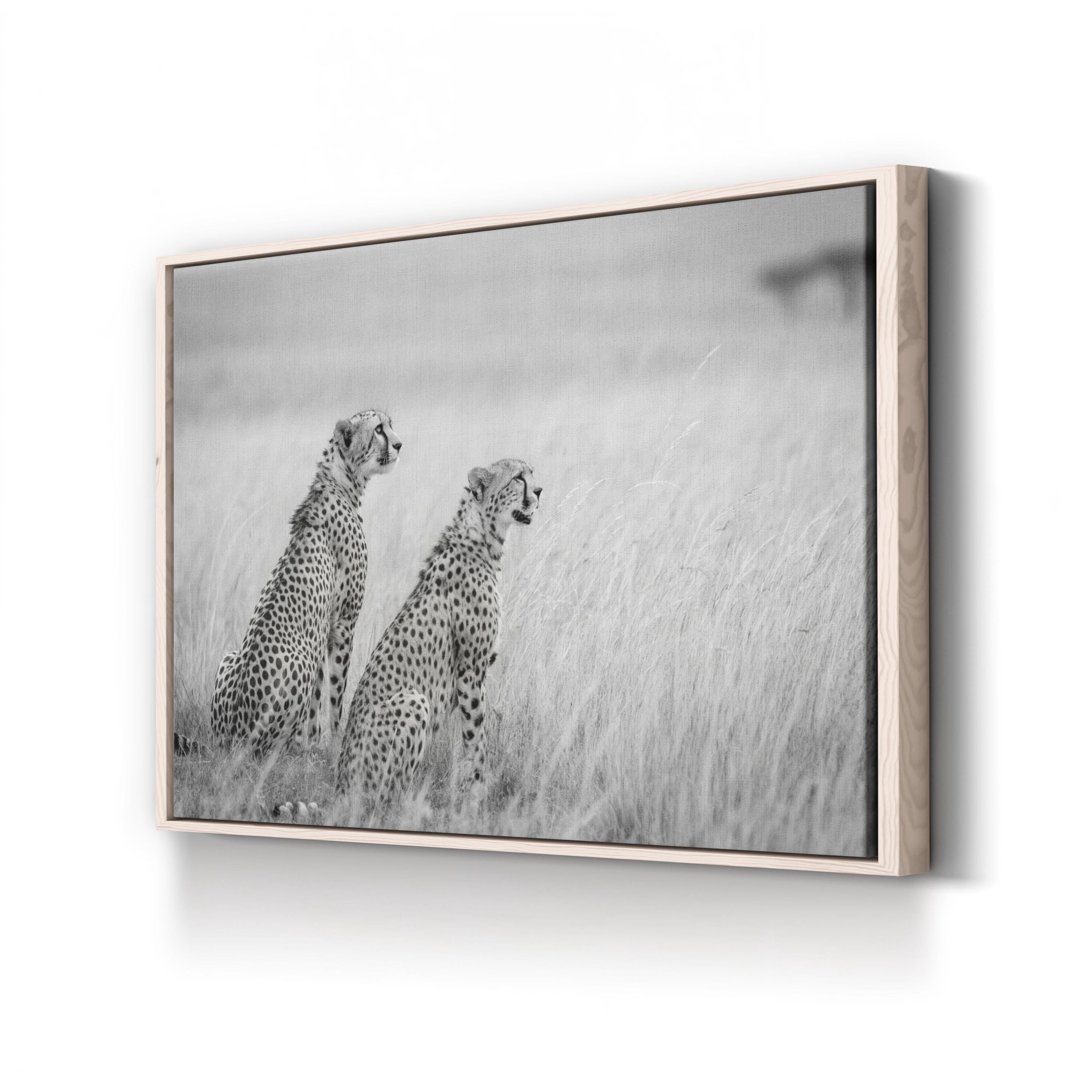 Black & White Cheetah Canvas – Safari Photography Wall Art