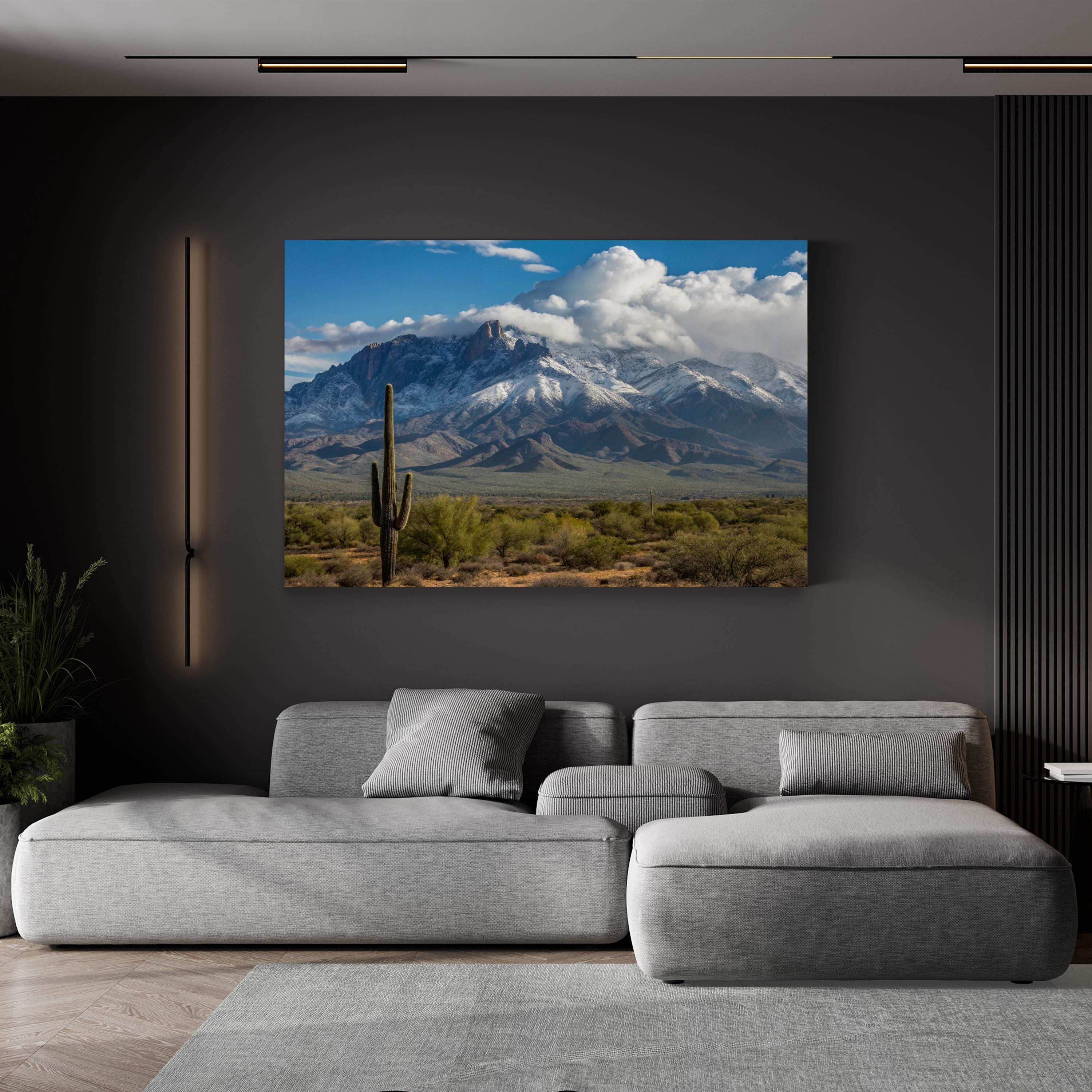 Saguaro Cactus Desert Plain – Vintage Photography Wall Art | Southwestern Canvas Print