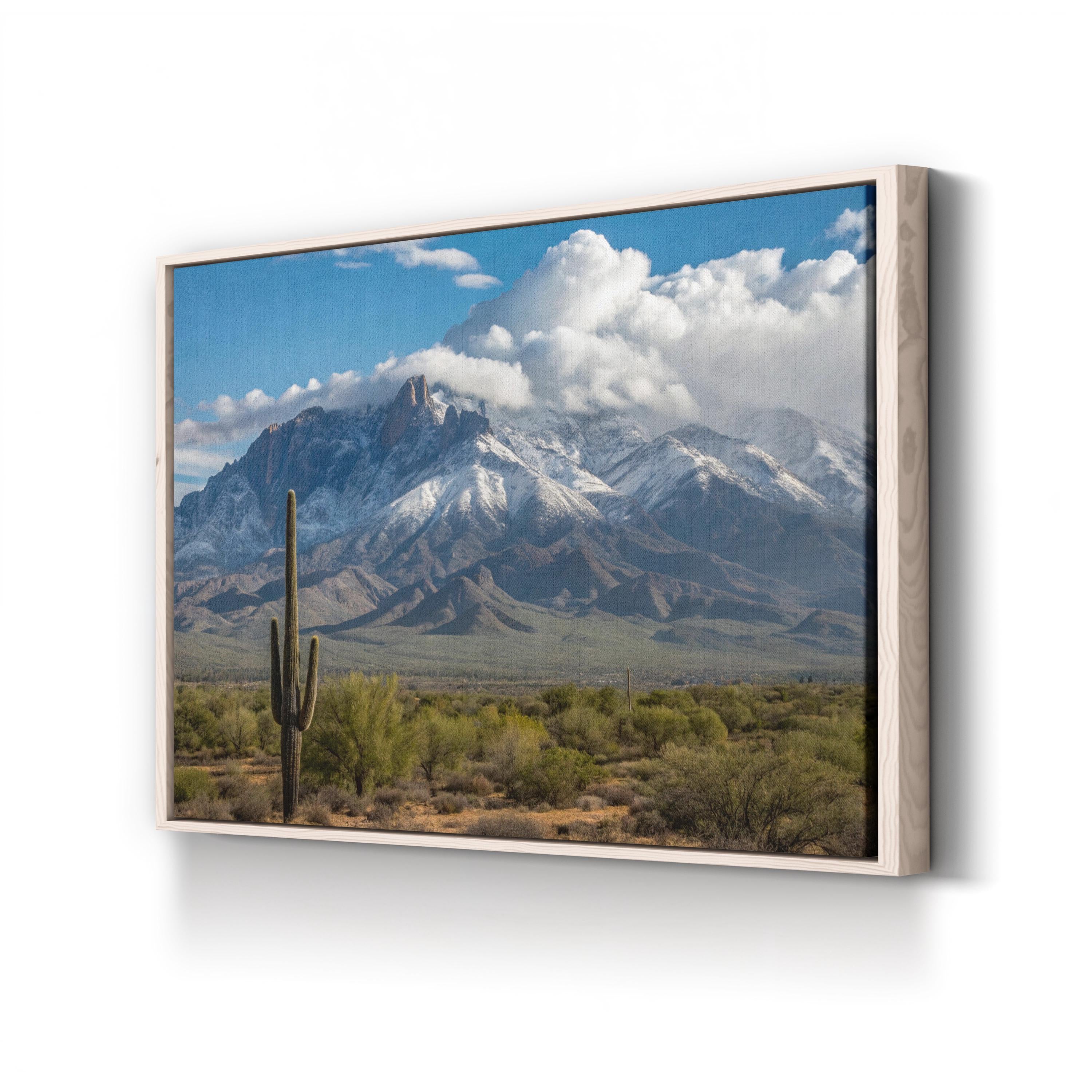 Saguaro Cactus Desert Plain – Vintage Photography Wall Art | Southwestern Canvas Print