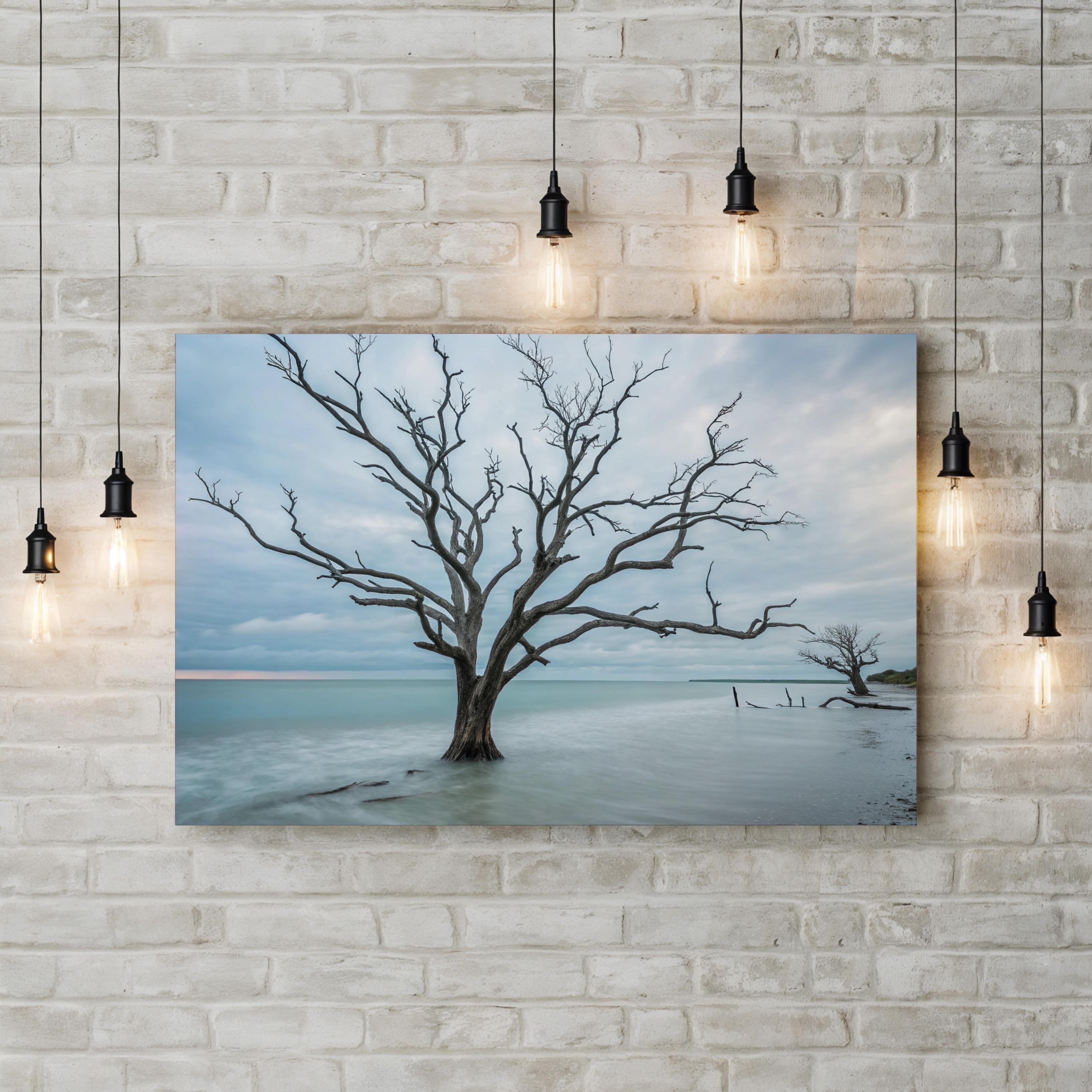 Botany Bay Coastal Sunset — Tranquil Shoreline Canvas Wall Art
