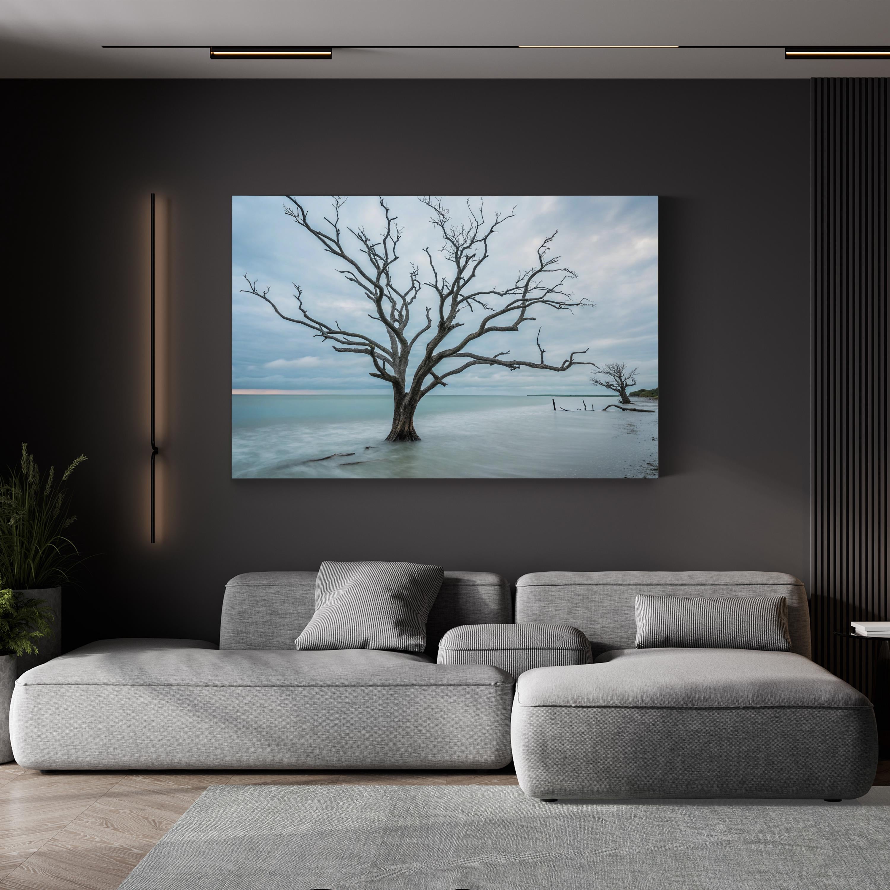Botany Bay Coastal Sunset — Tranquil Shoreline Canvas Wall Art