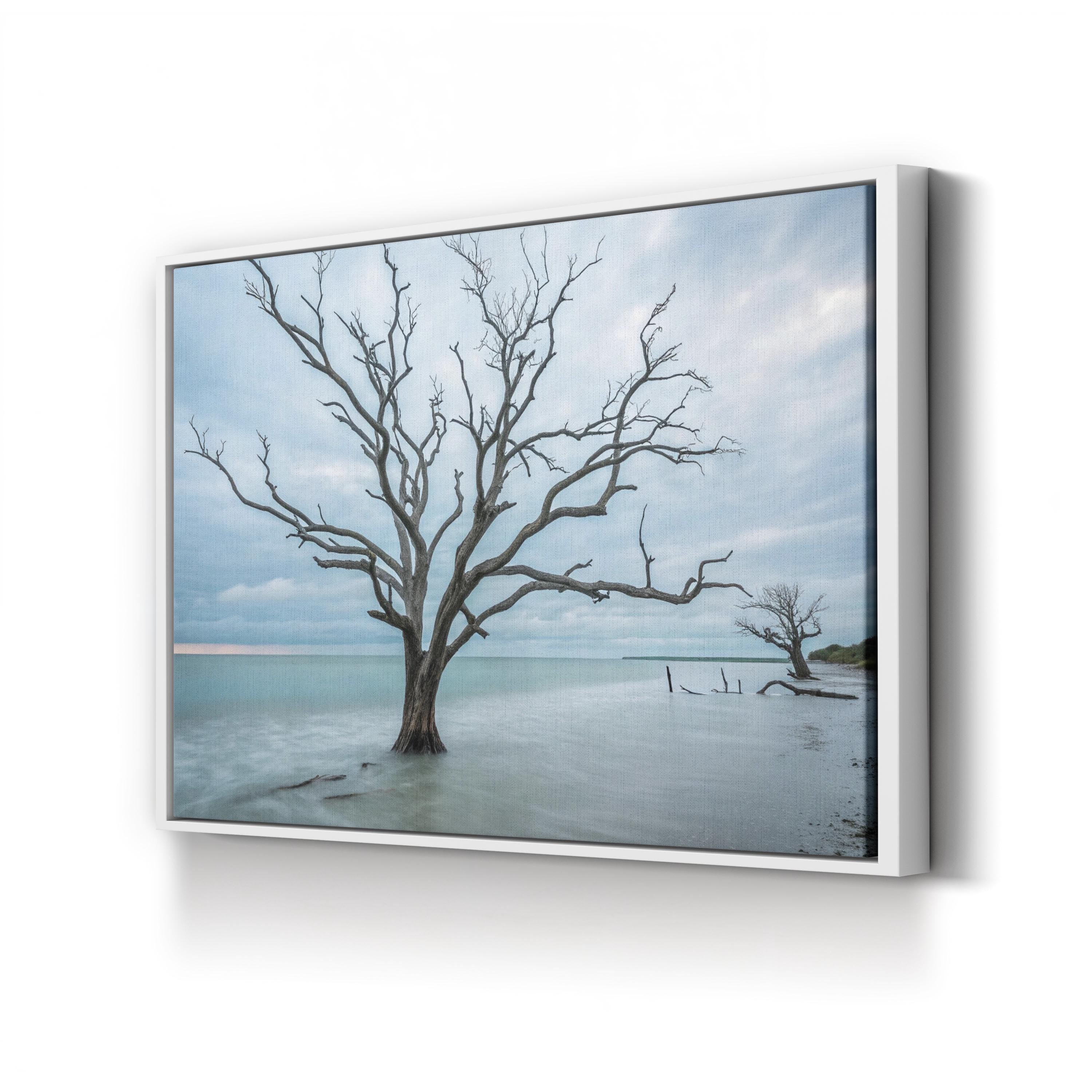 Botany Bay Coastal Sunset — Tranquil Shoreline Canvas Wall Art
