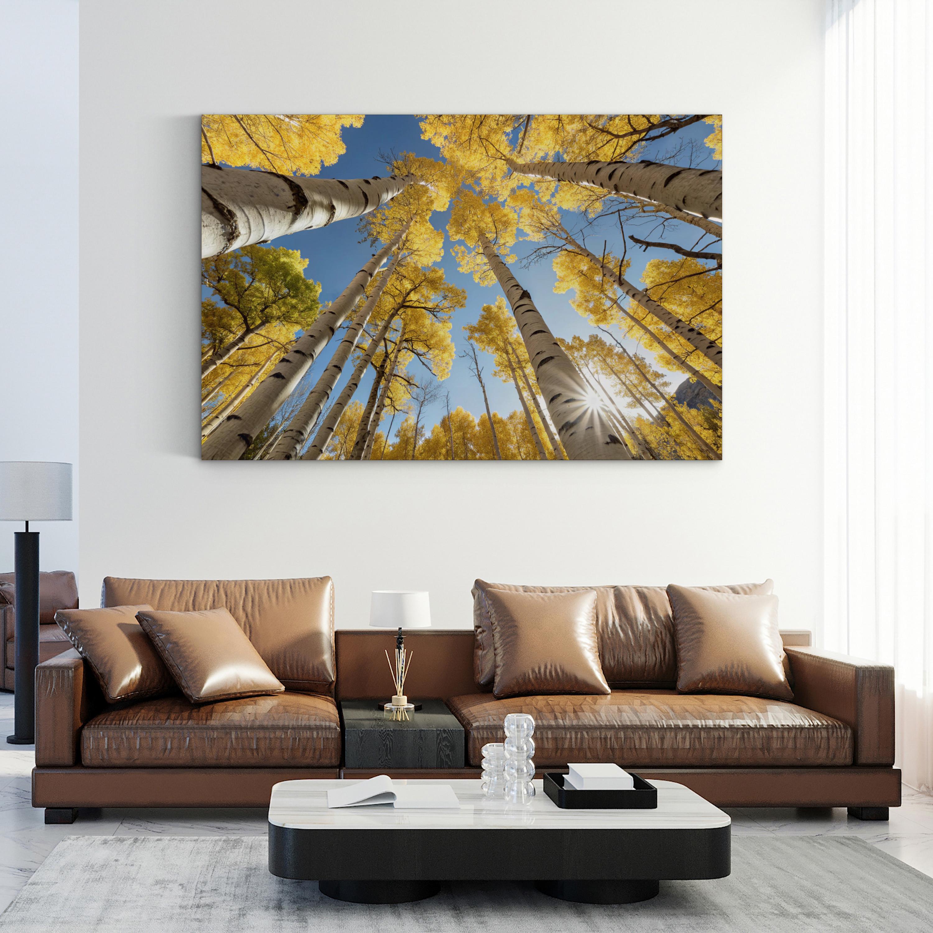 San Juan Aspens Fall – Vintage Photography Wall Art | Autumn Forest Canvas Print
