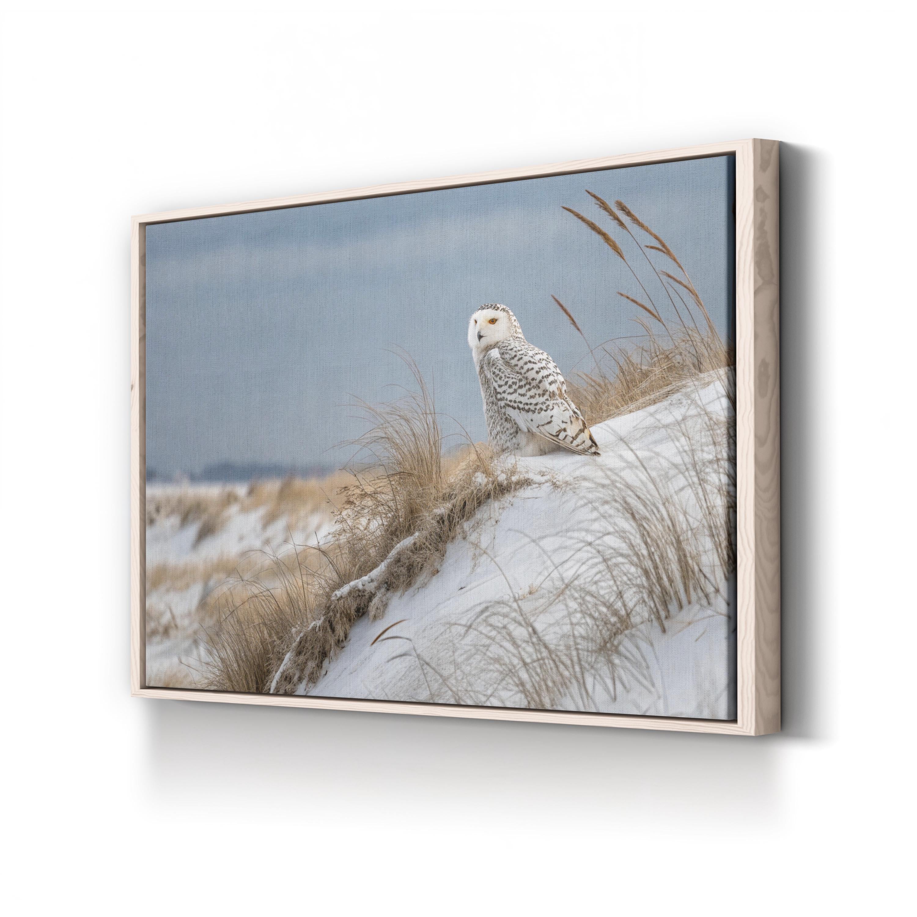 Snowy Owl Canvas – Framed Winter Wildlife Wall Art