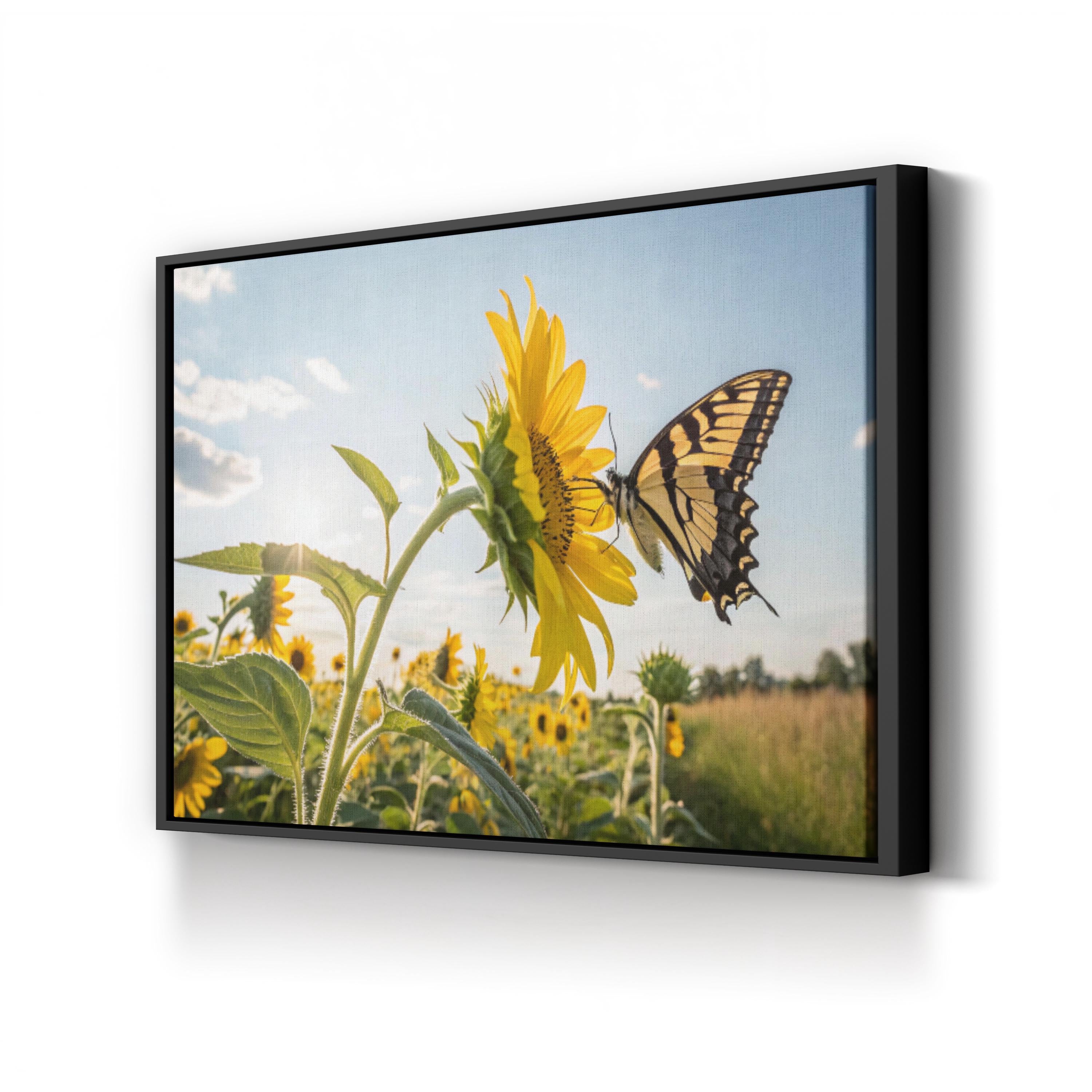 Sunflower & Butterfly – Vintage Photography Wall Art | Sunlit Field Canvas Print