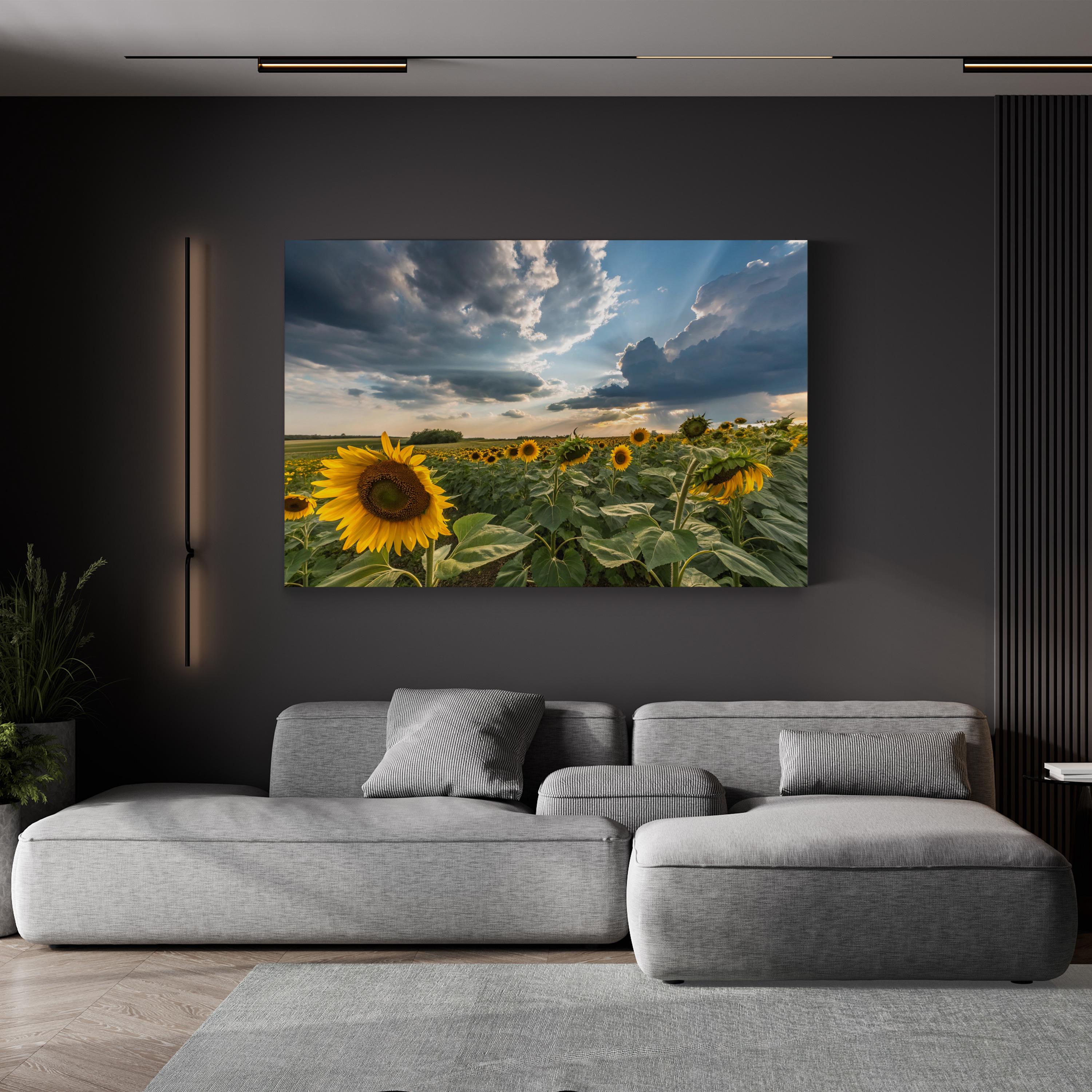 Sunflower Field – Vintage Photography Wall Art | Dramatic Sky Landscape Canvas Print