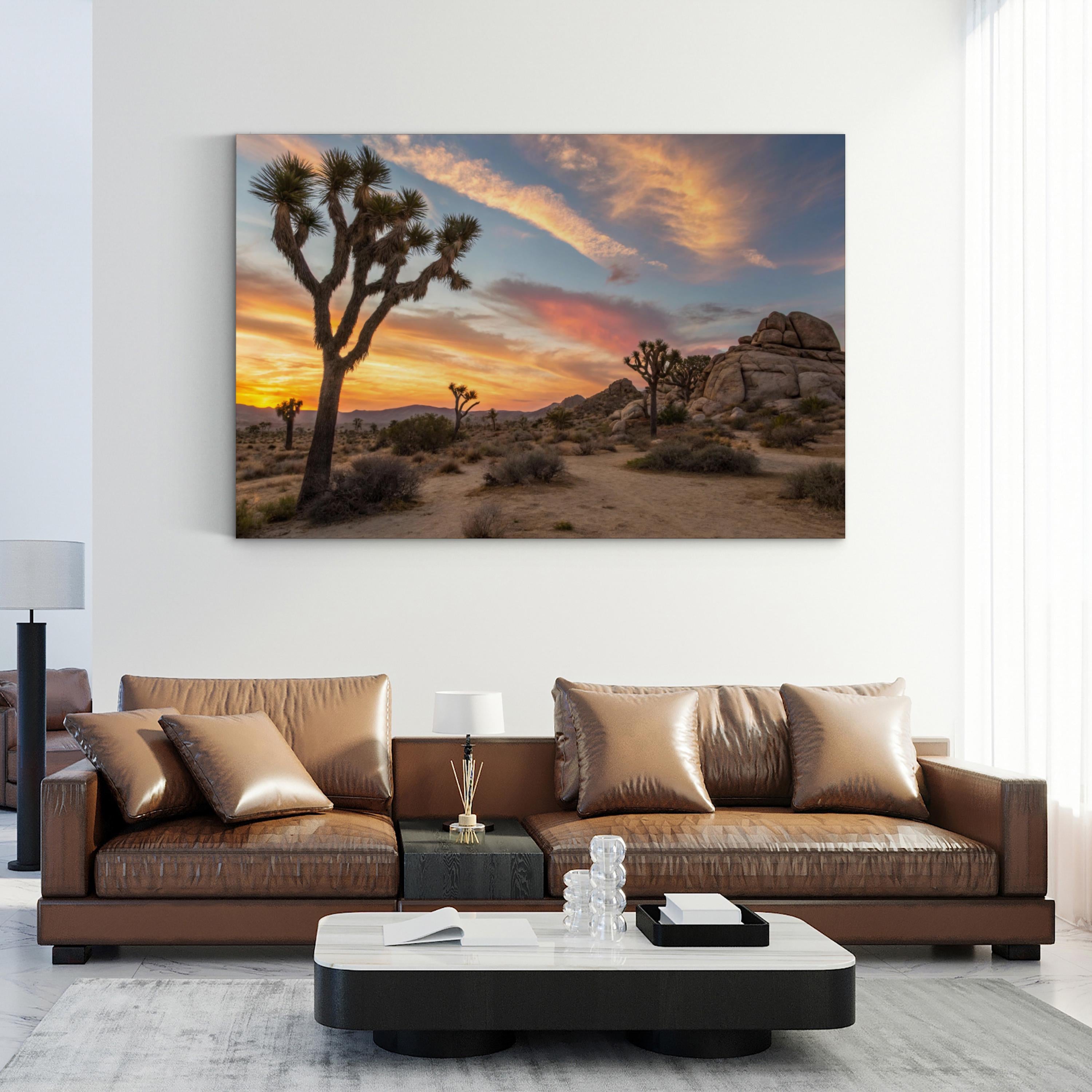 Joshua Tree Desert Sunset – Vintage Photography Wall Art | Landscape Canvas Print