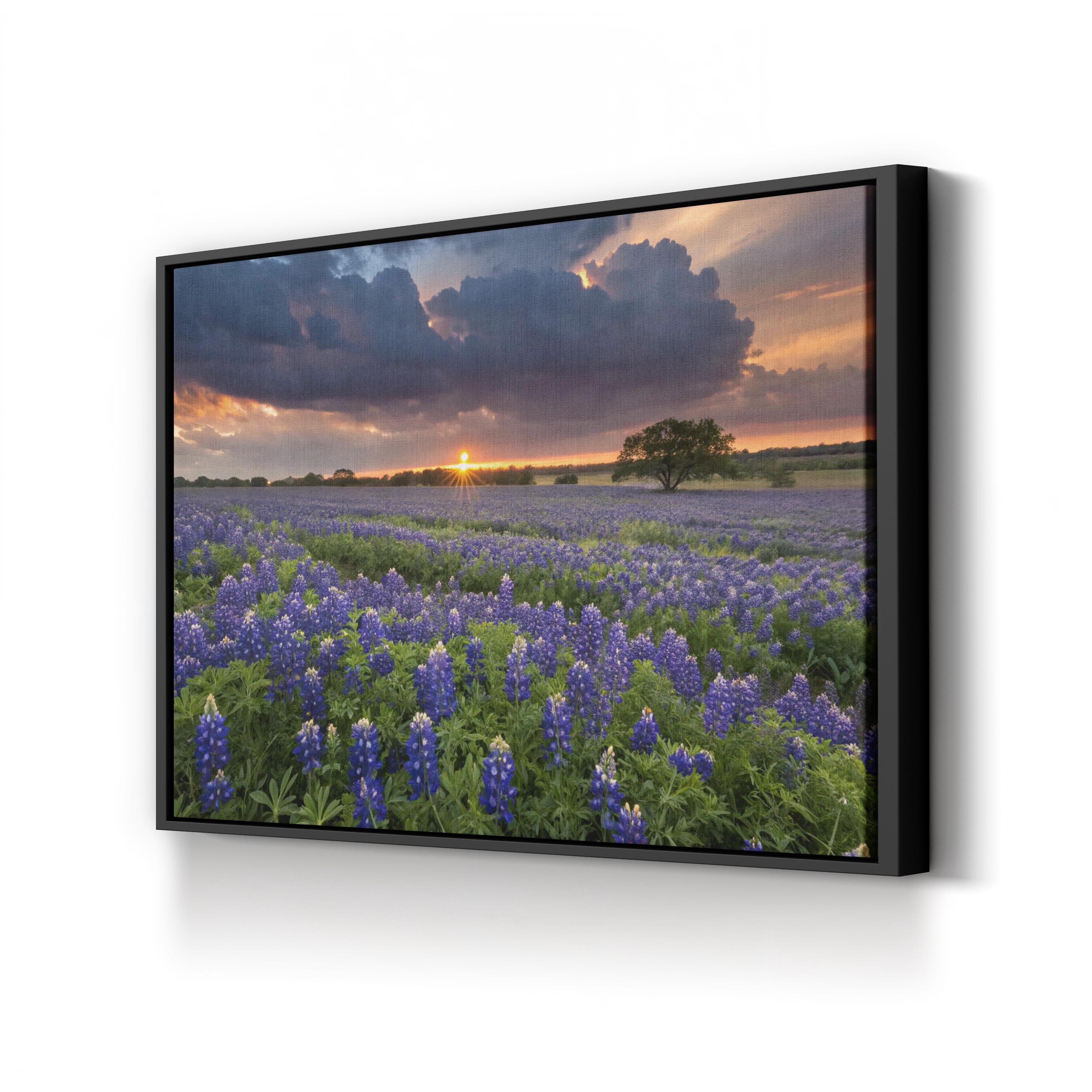 Texas Bluebonnet Field – Vintage Photography Wall Art | Wildflower Landscape Canvas Print