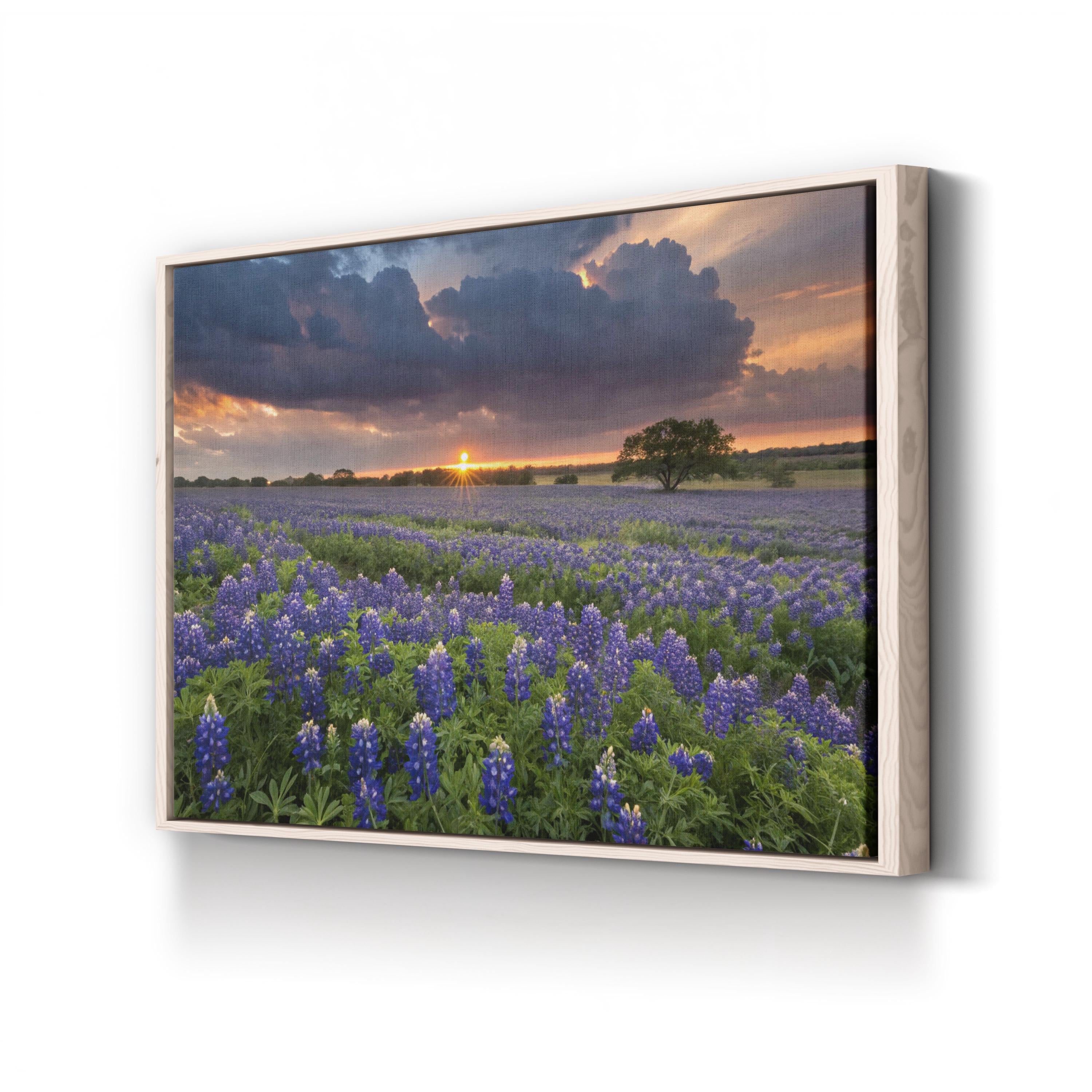 Texas Bluebonnet Field – Vintage Photography Wall Art | Wildflower Landscape Canvas Print