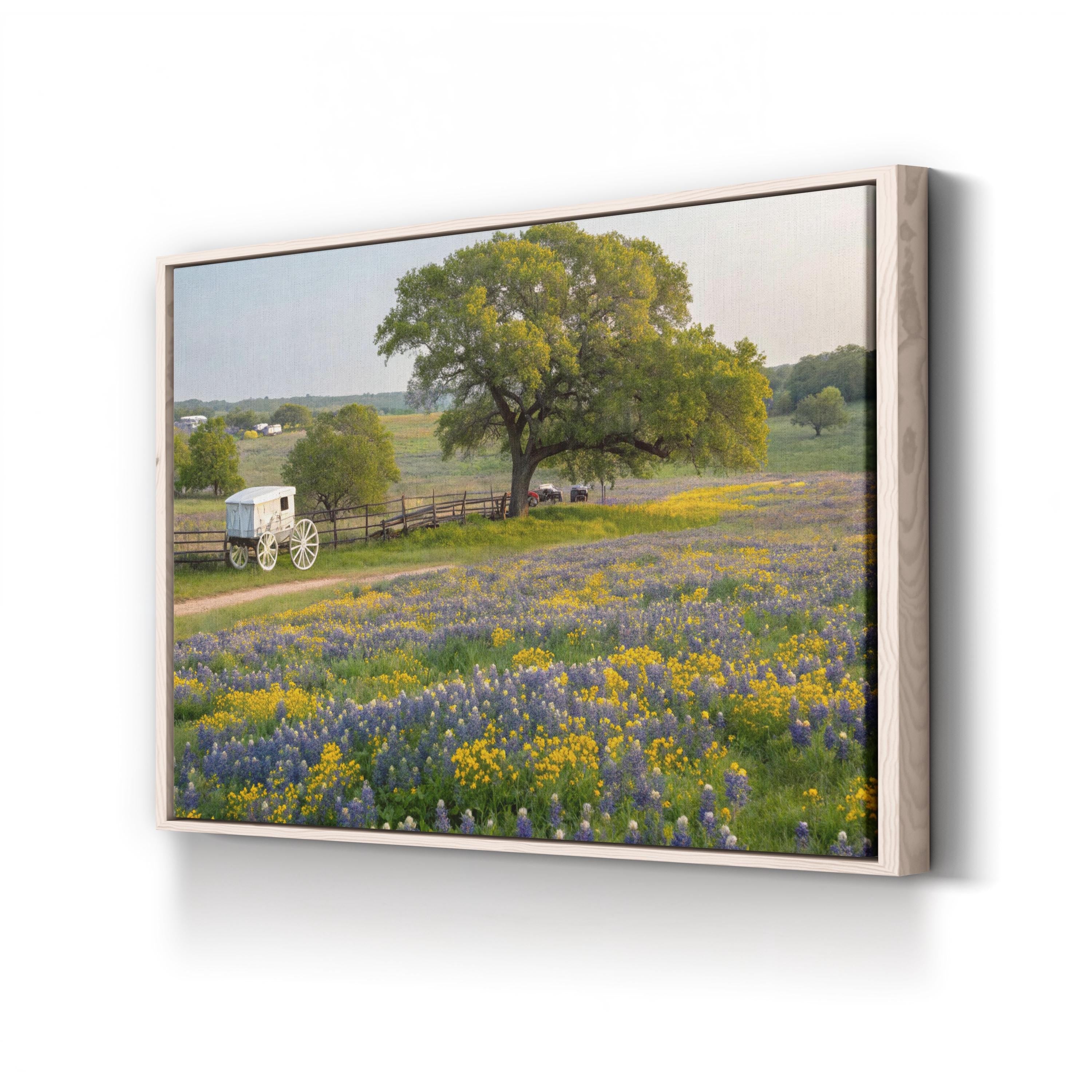 Texas Hill Country Spring – Vintage Photography Wall Art | Wildflower Landscape Canvas Print