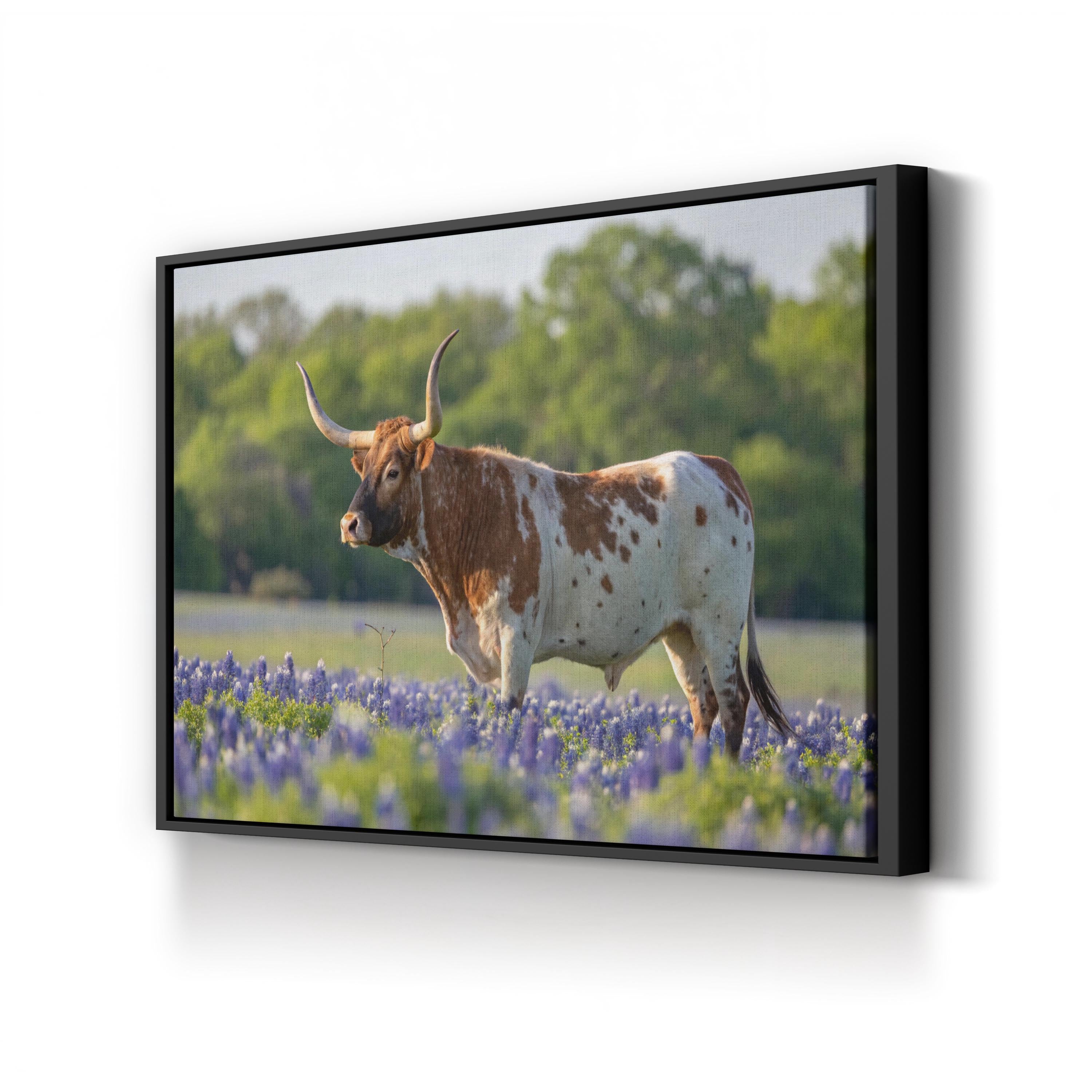 Texas Longhorn Bull Canvas – Western Farmhouse Wall Art