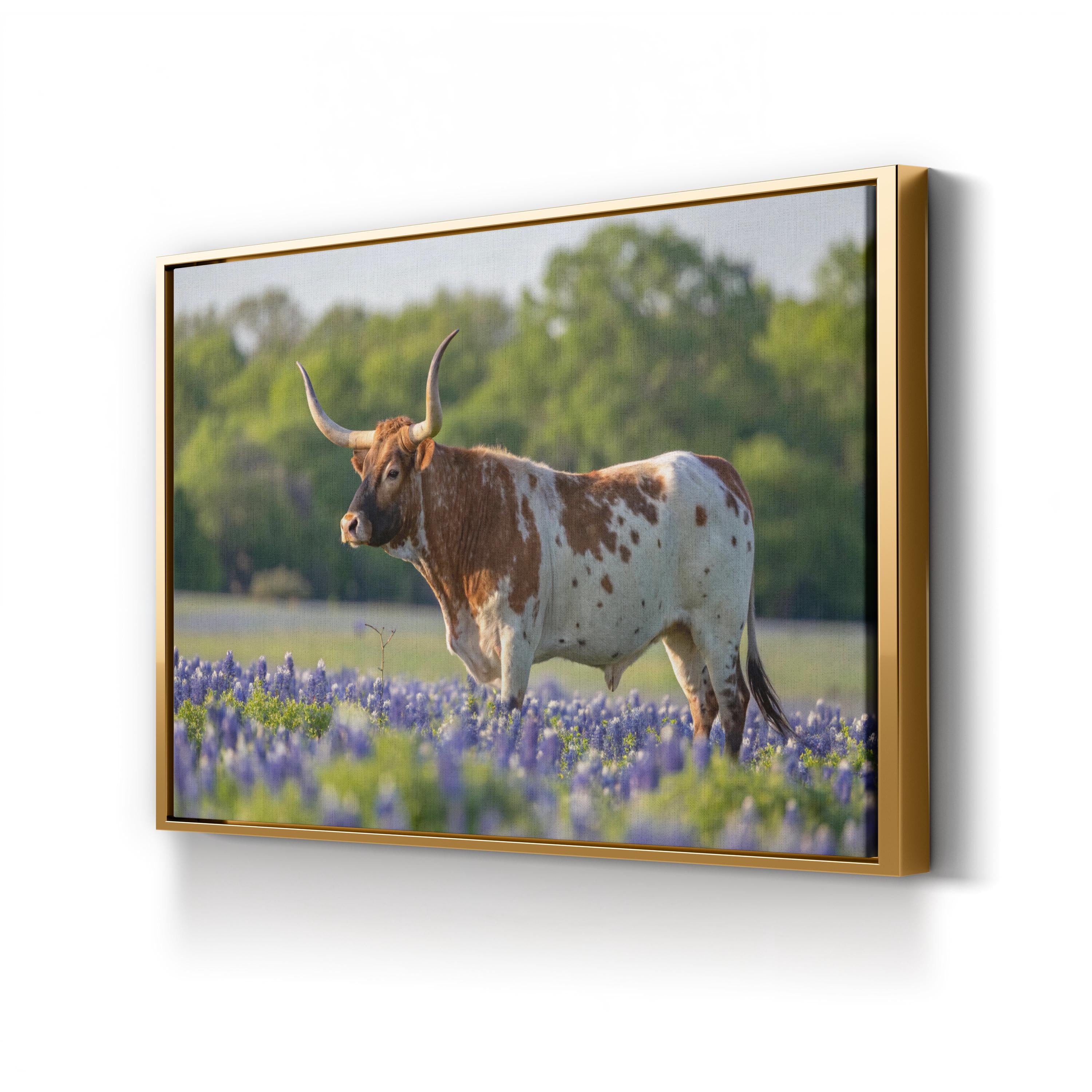 Texas Longhorn Bull Canvas – Western Farmhouse Wall Art
