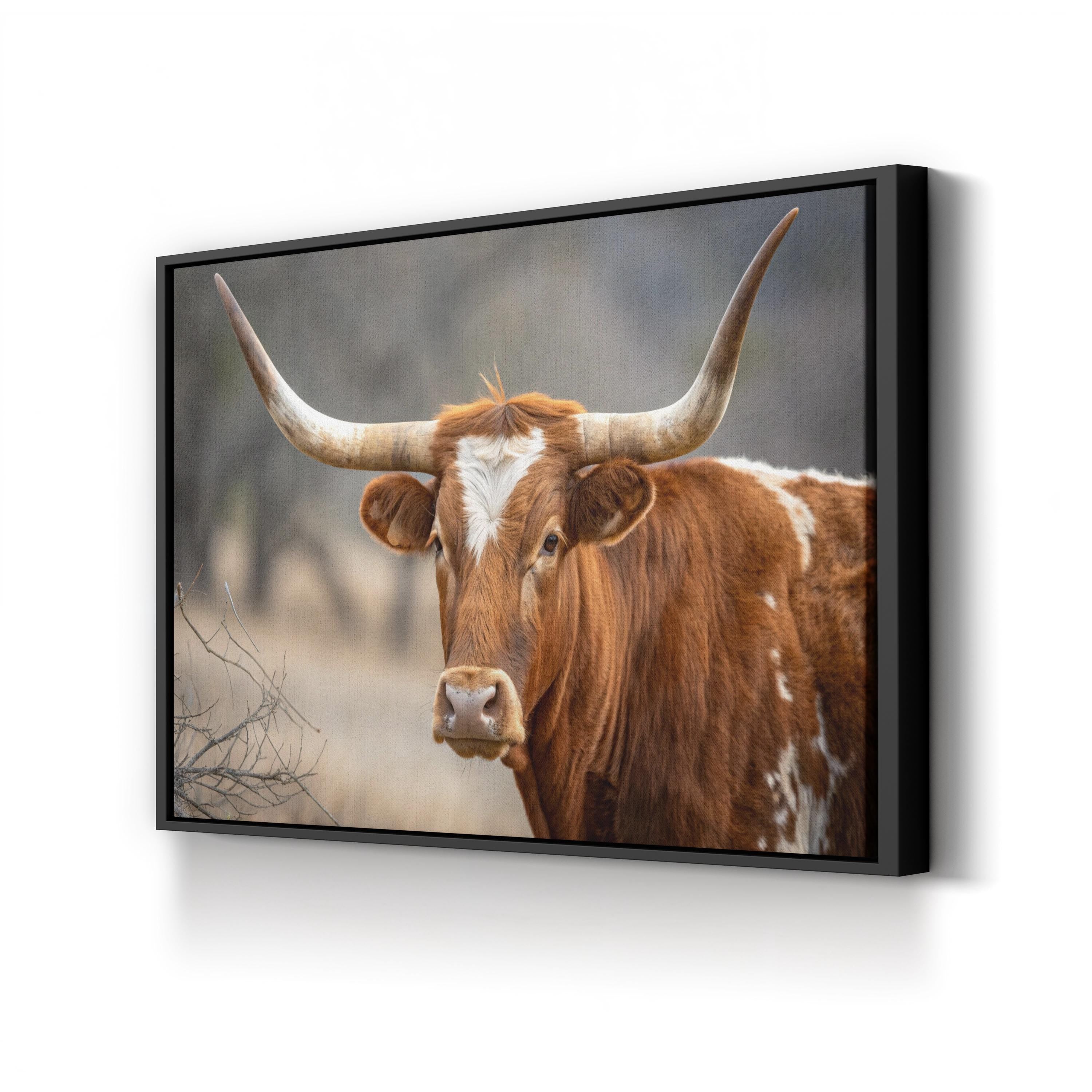 Texas Longhorn Cow Canvas – Rustic Wildlife Photography
