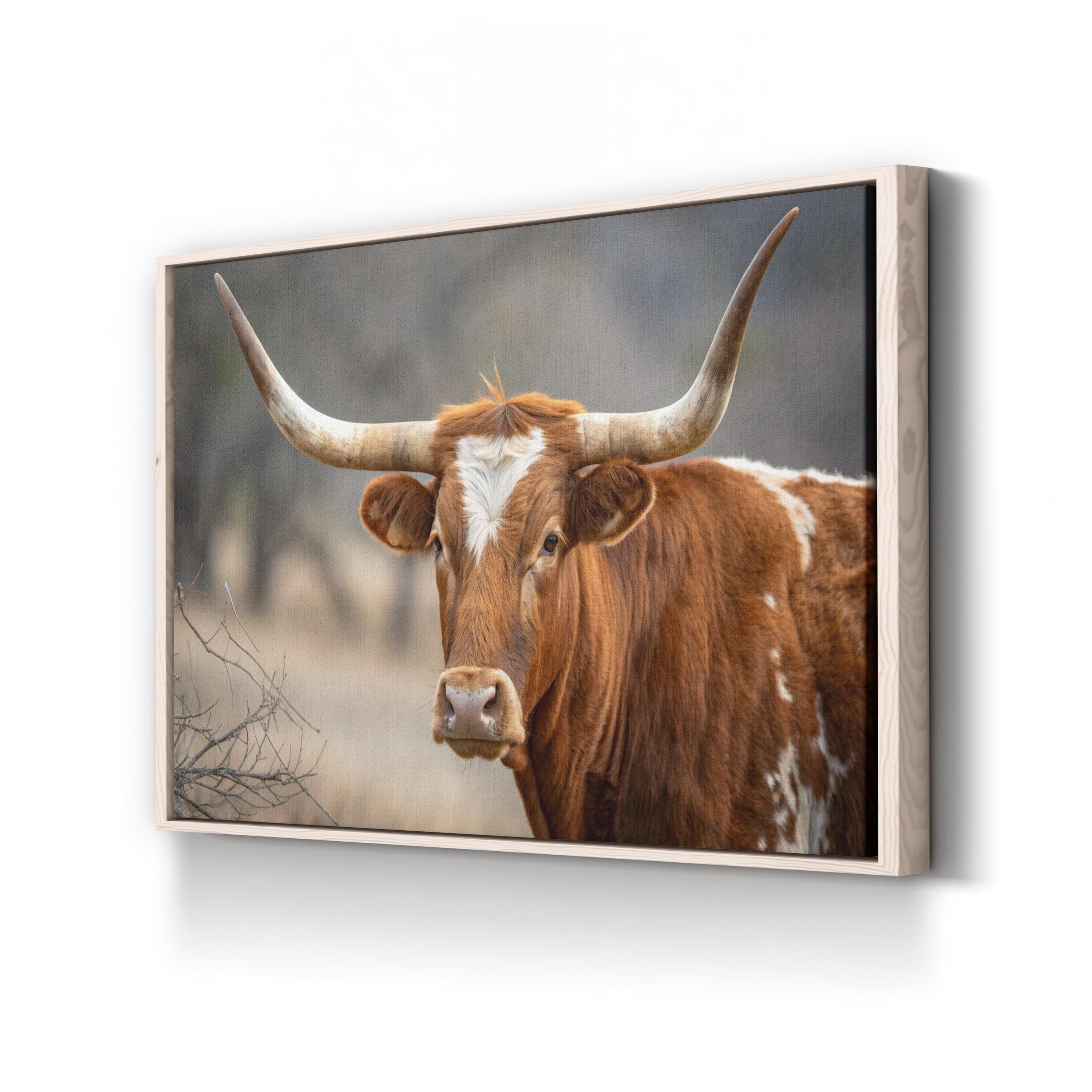 Texas Longhorn Cow Canvas – Rustic Wildlife Photography