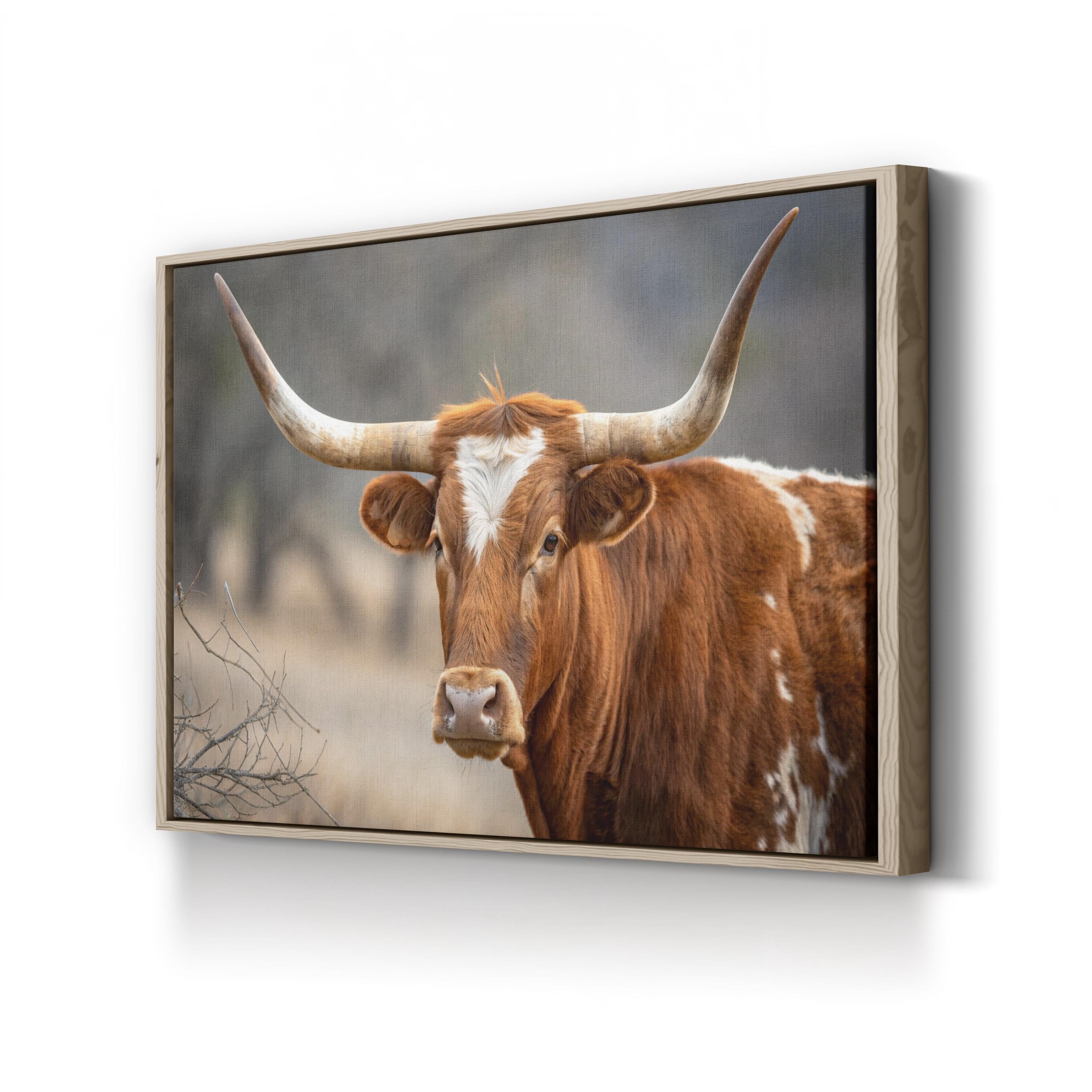 Texas Longhorn Cow Canvas – Rustic Wildlife Photography