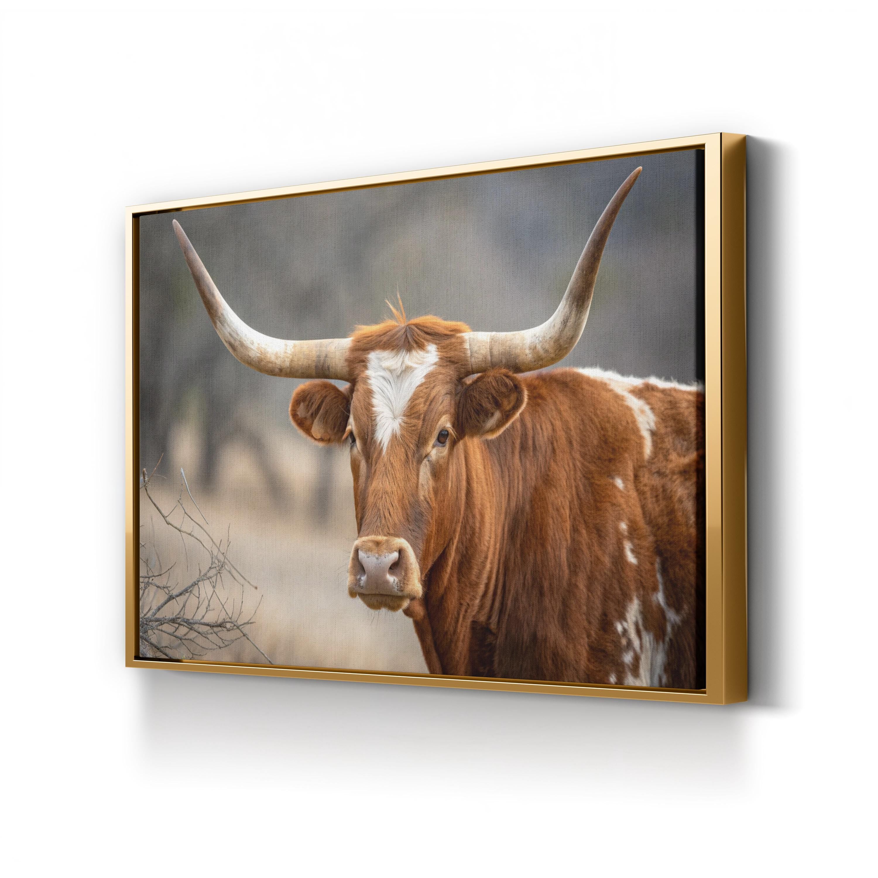 Texas Longhorn Cow Canvas – Rustic Wildlife Photography