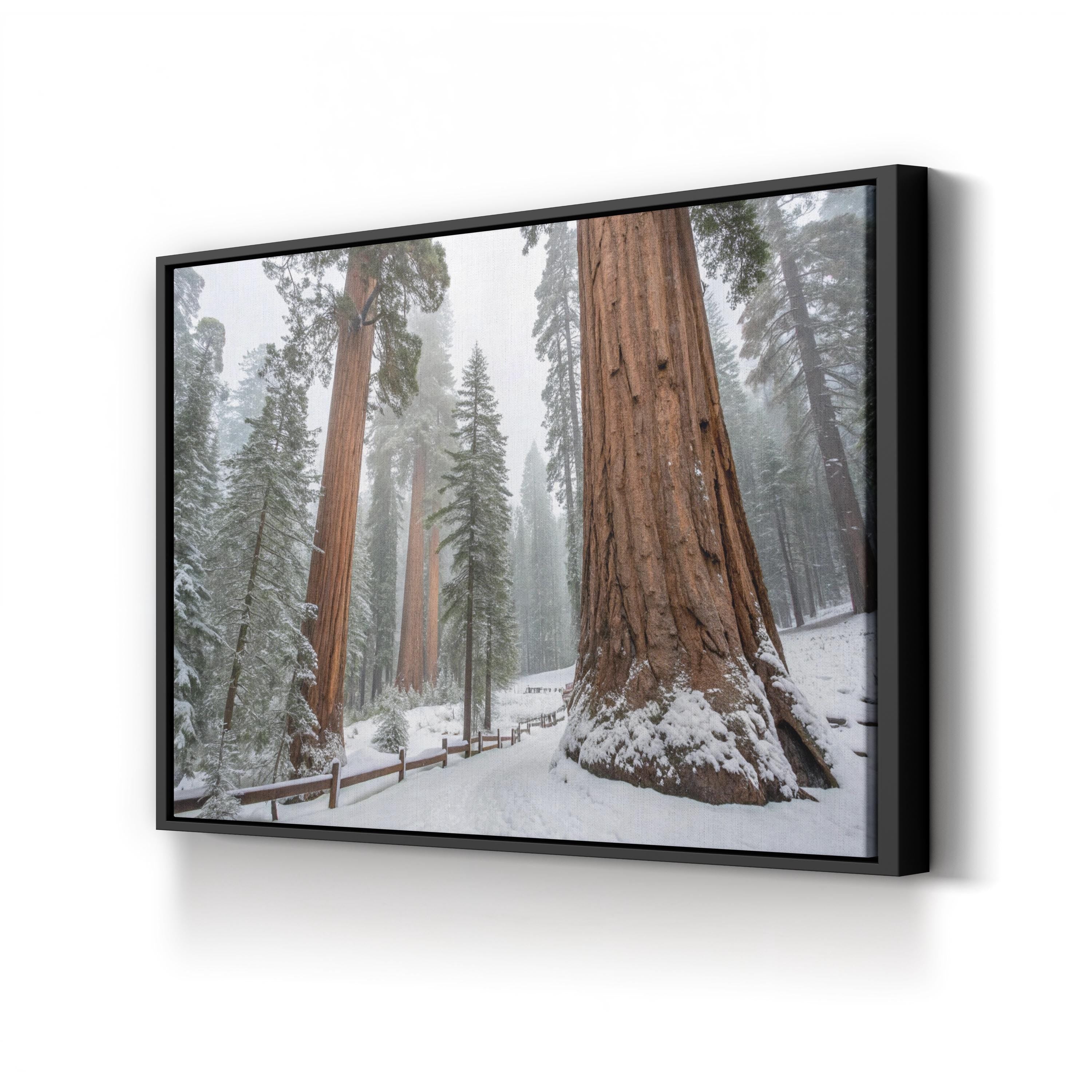 Snowy Sequoia Forest – Vintage Photography Wall Art | Winter Nature Canvas Print