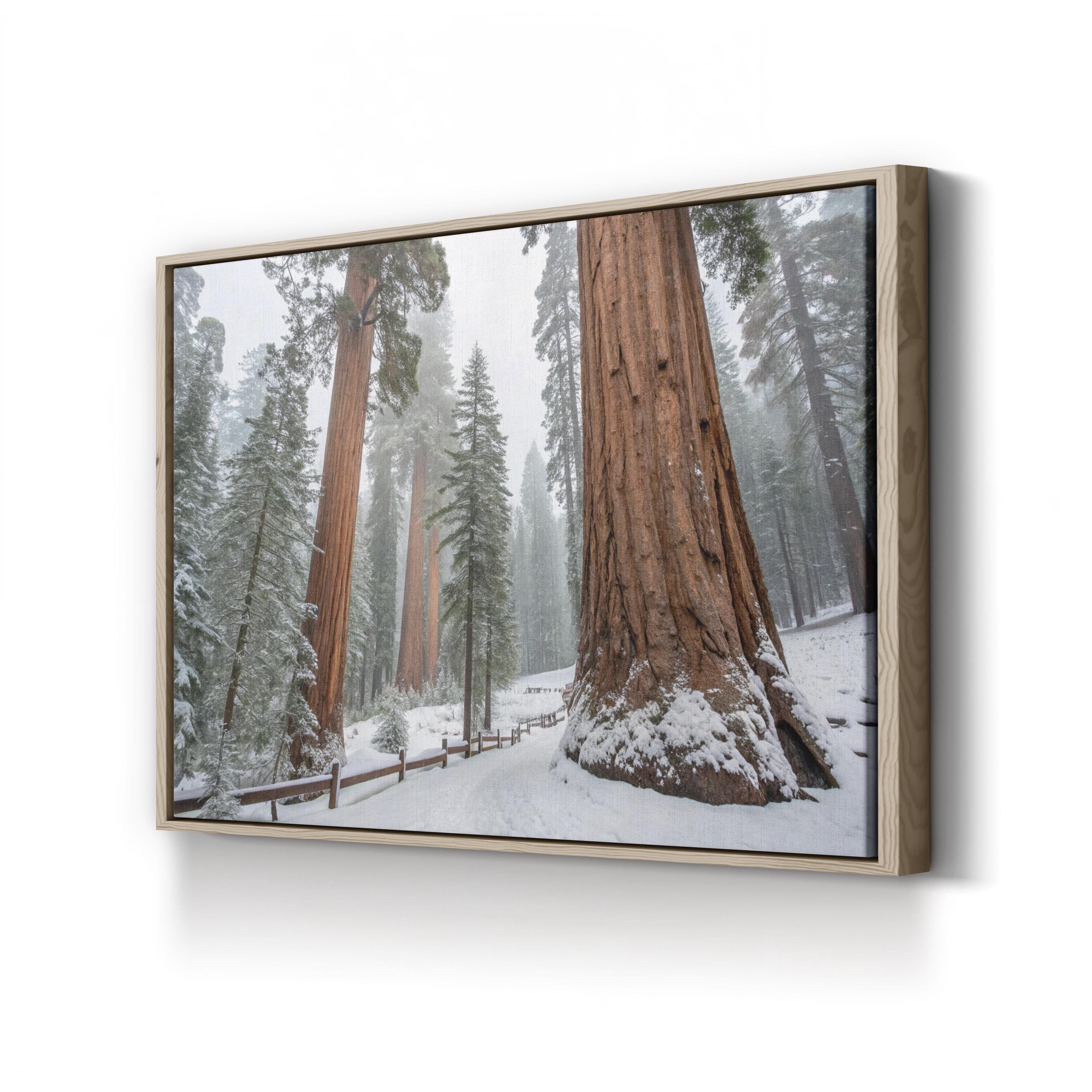 Snowy Sequoia Forest – Vintage Photography Wall Art | Winter Nature Canvas Print